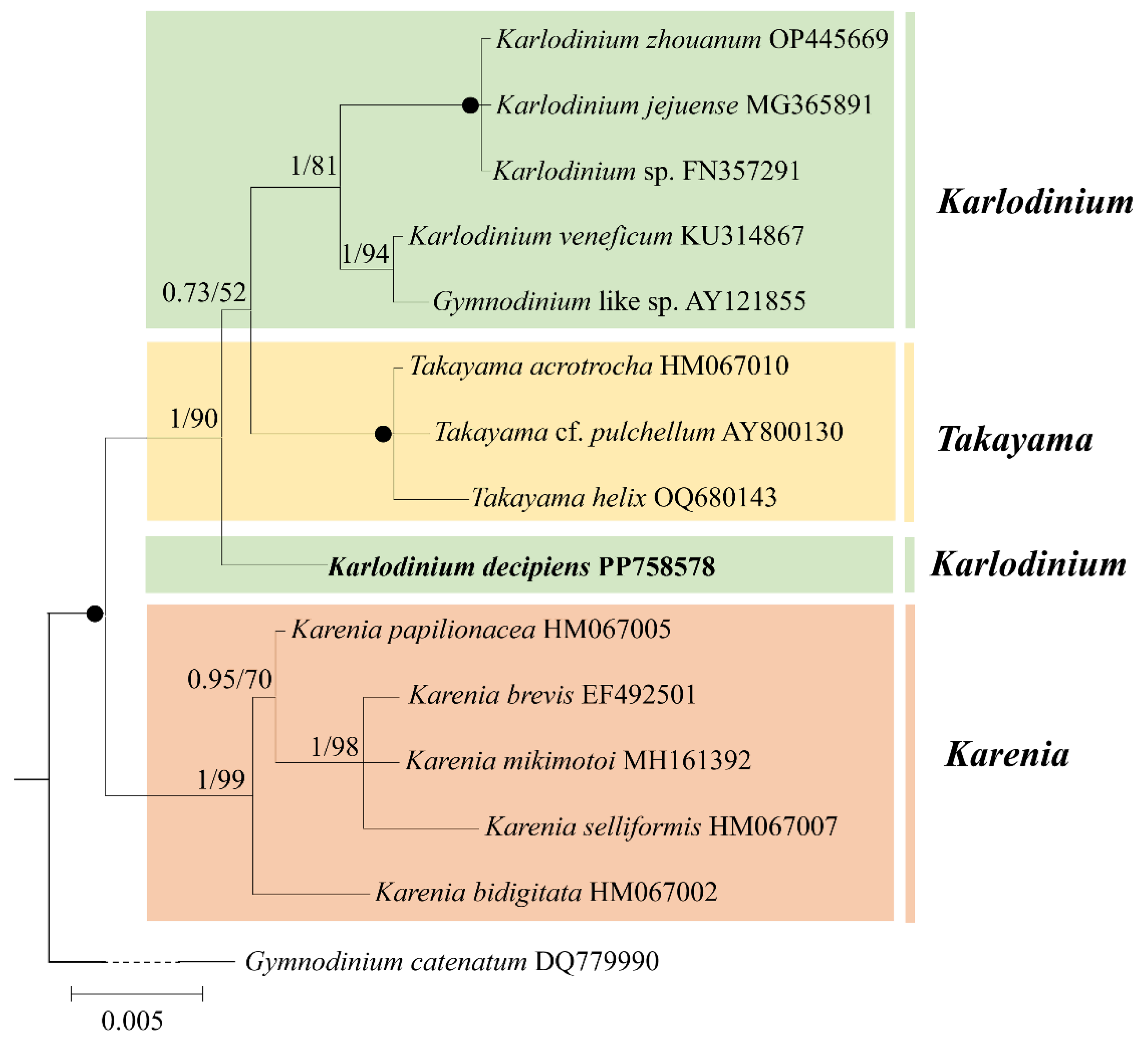 Diversity 16 00449 g005