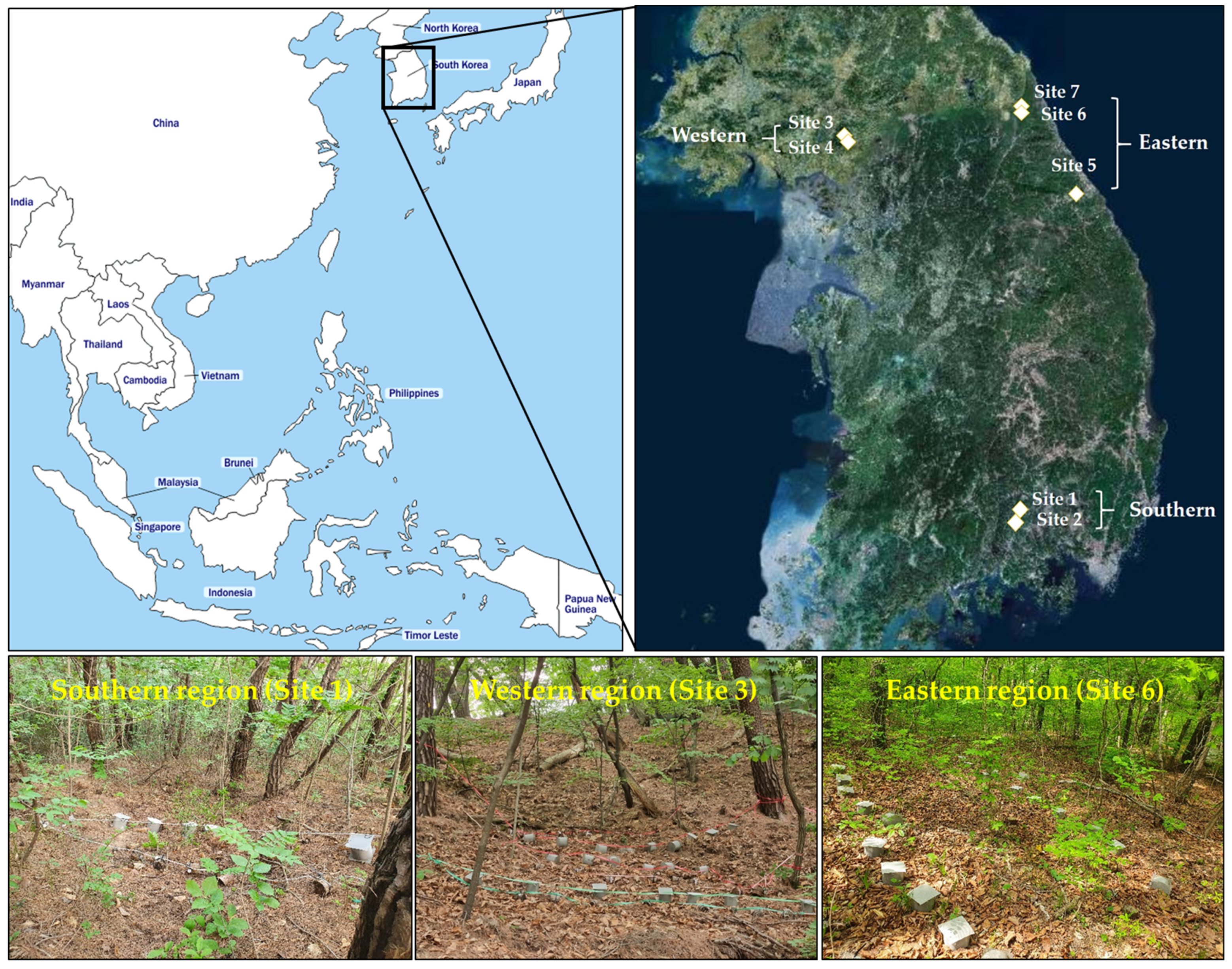 Diversity 16 00452 g001