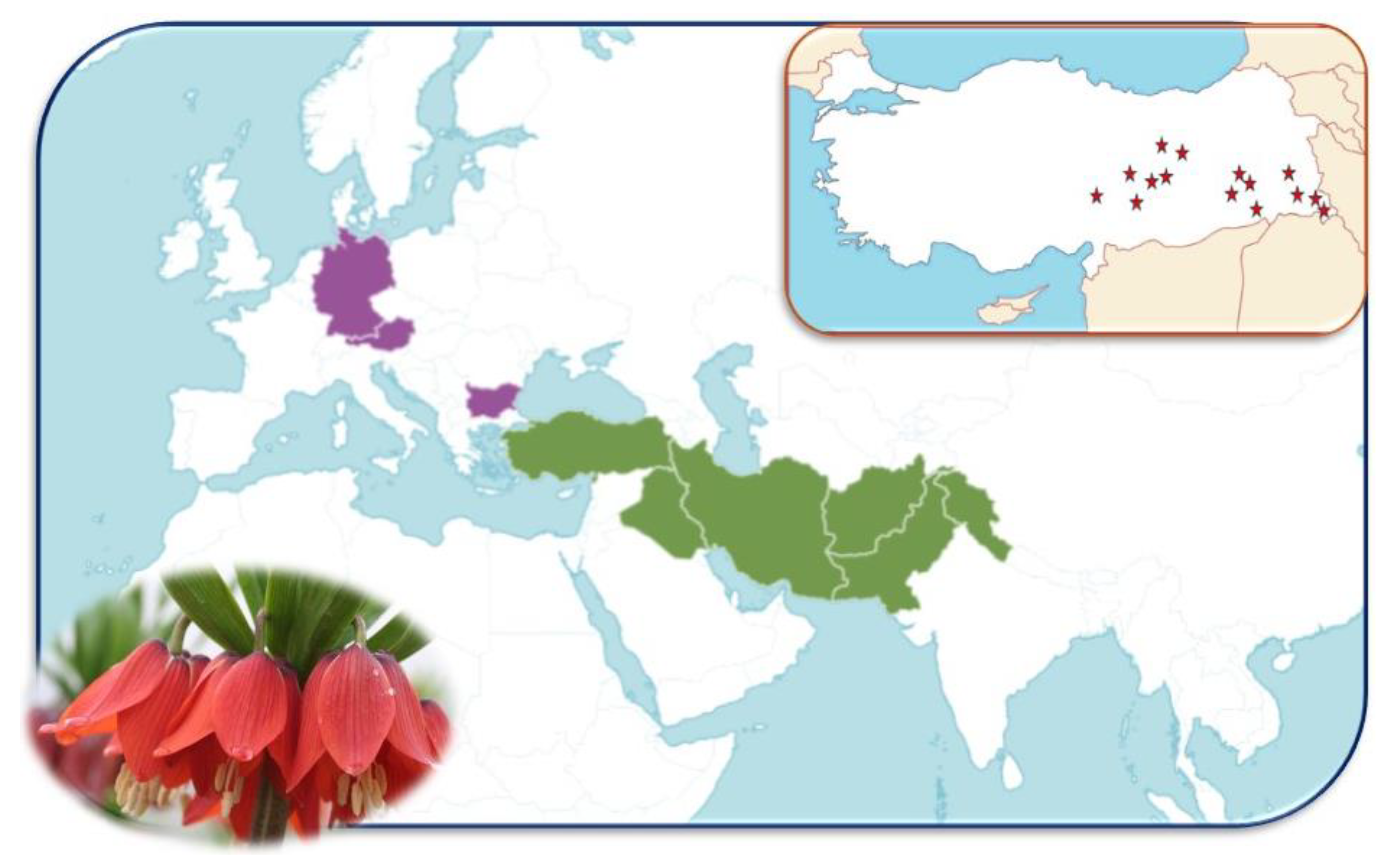 Diversity 16 00455 g001 Diversity 16 00455 g001