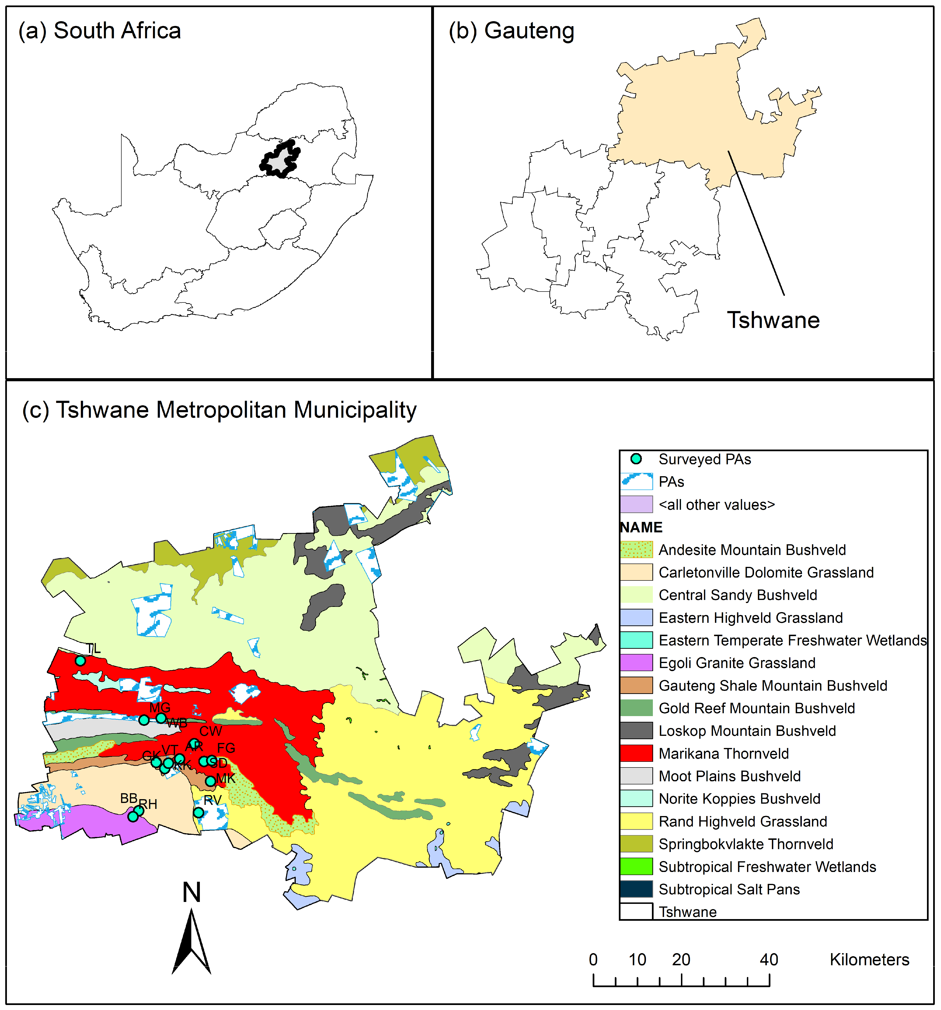 Diversity 16 00461 g001