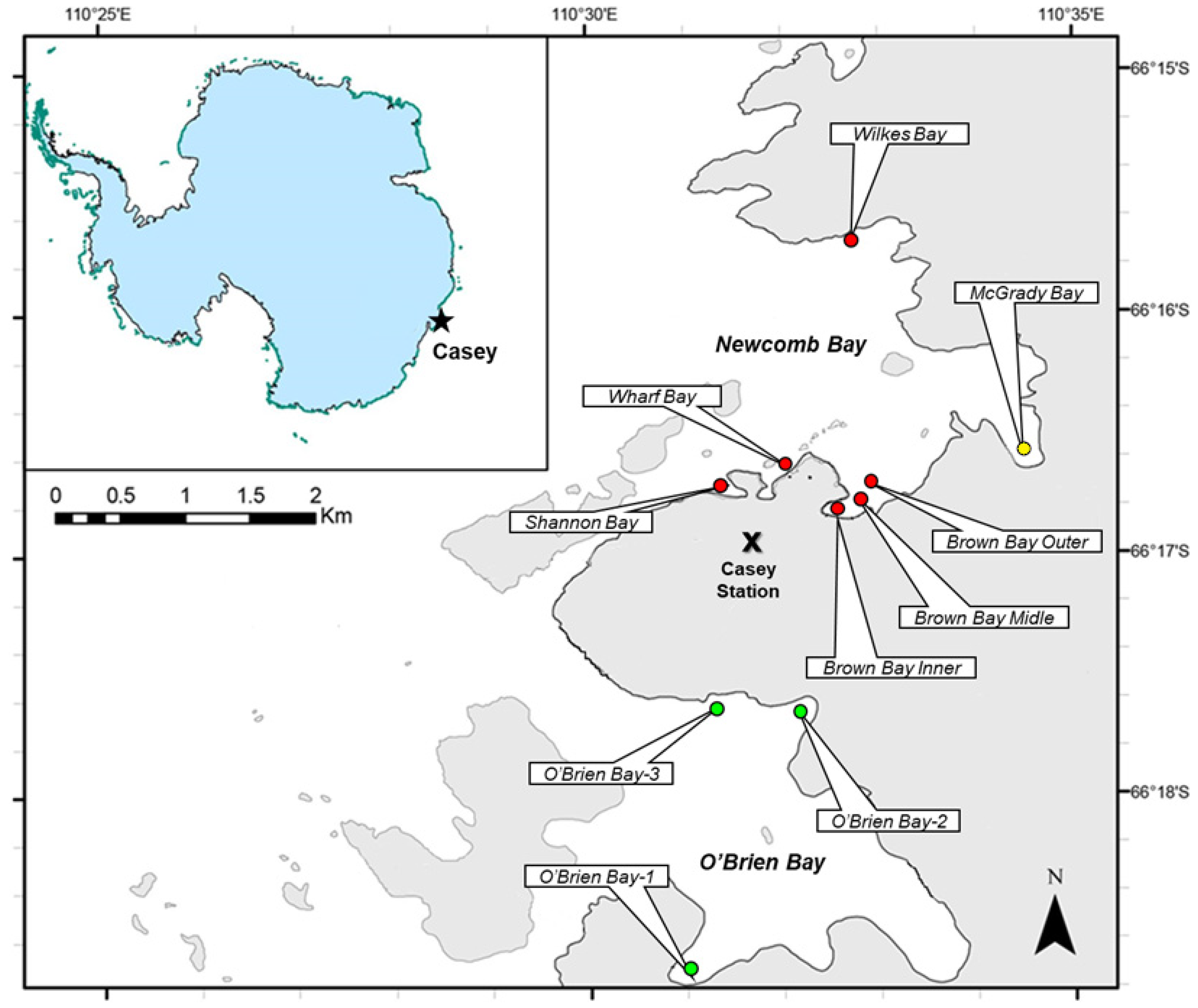 Diversity 16 00464 g001