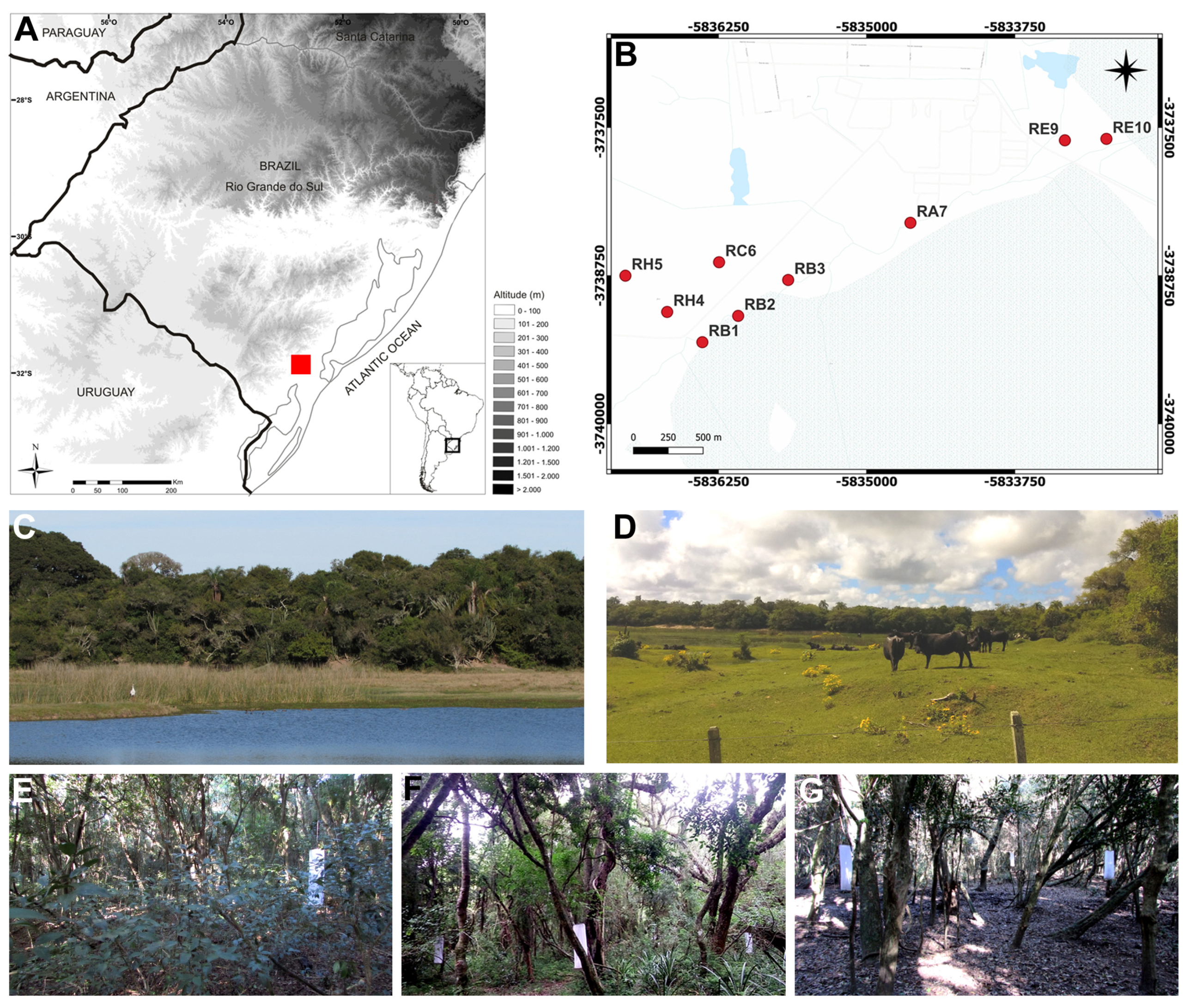 Diversity 16 00467 g001 Diversity 16 00467 g001