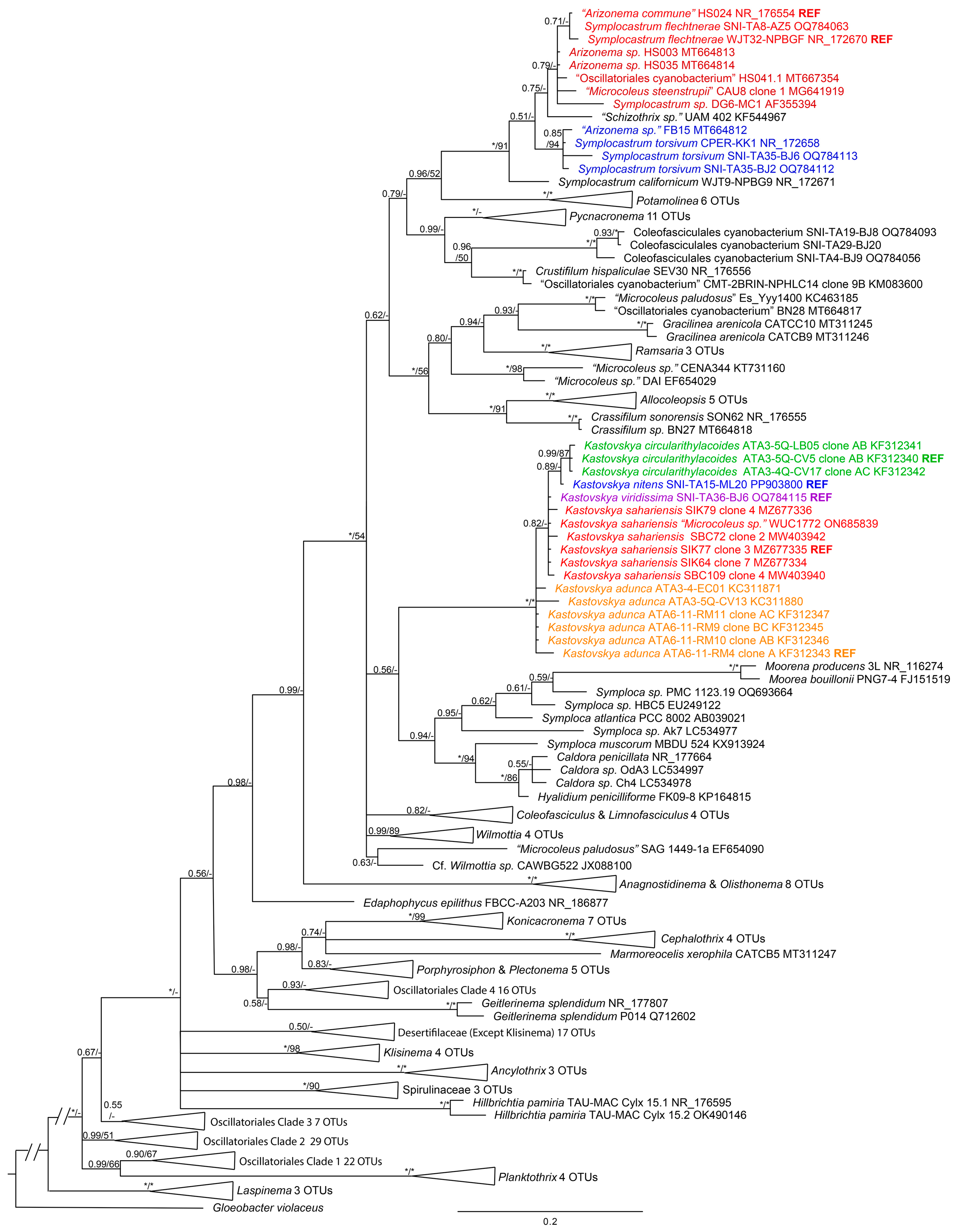 Diversity 16 00474 g004