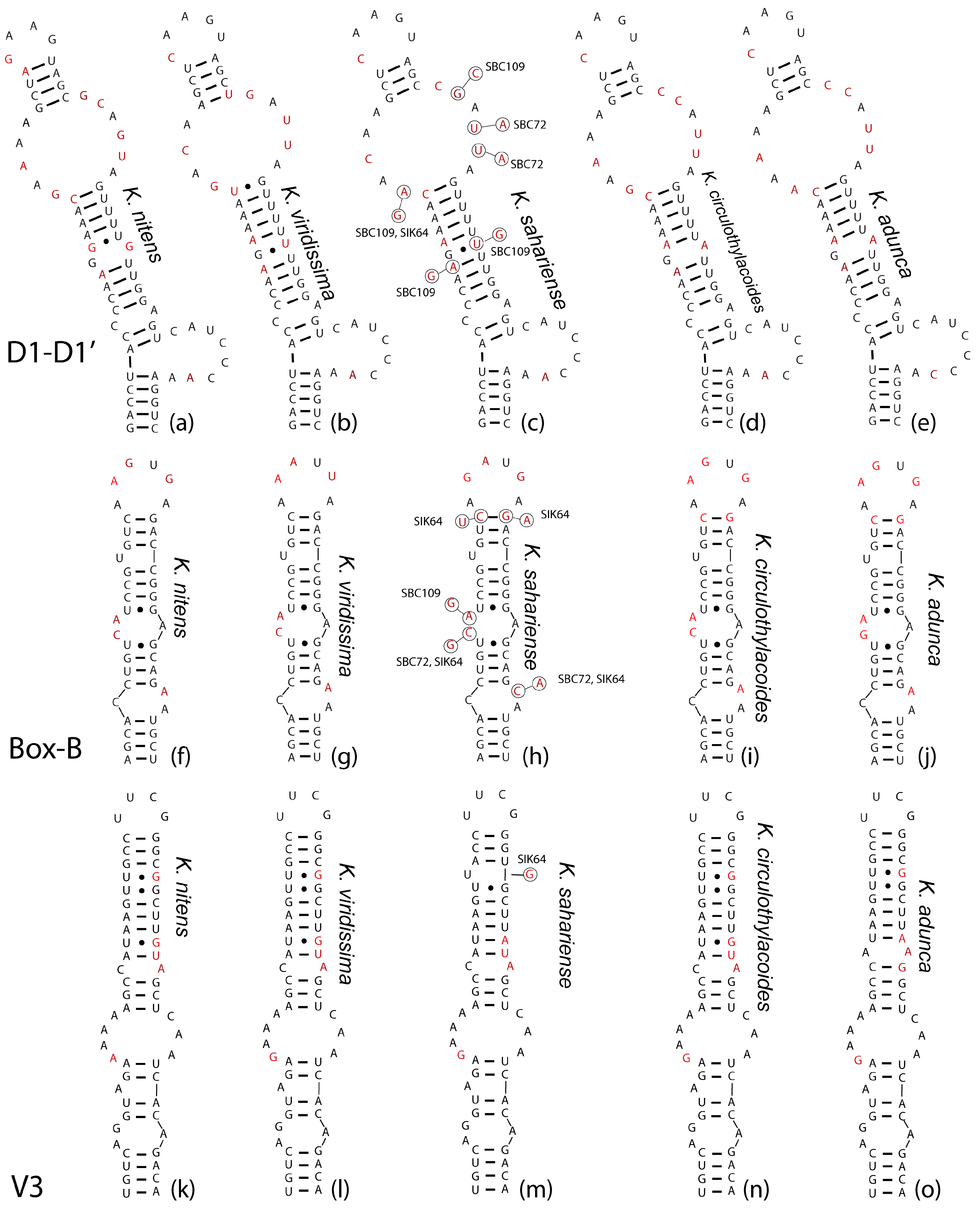 Diversity 16 00474 g006