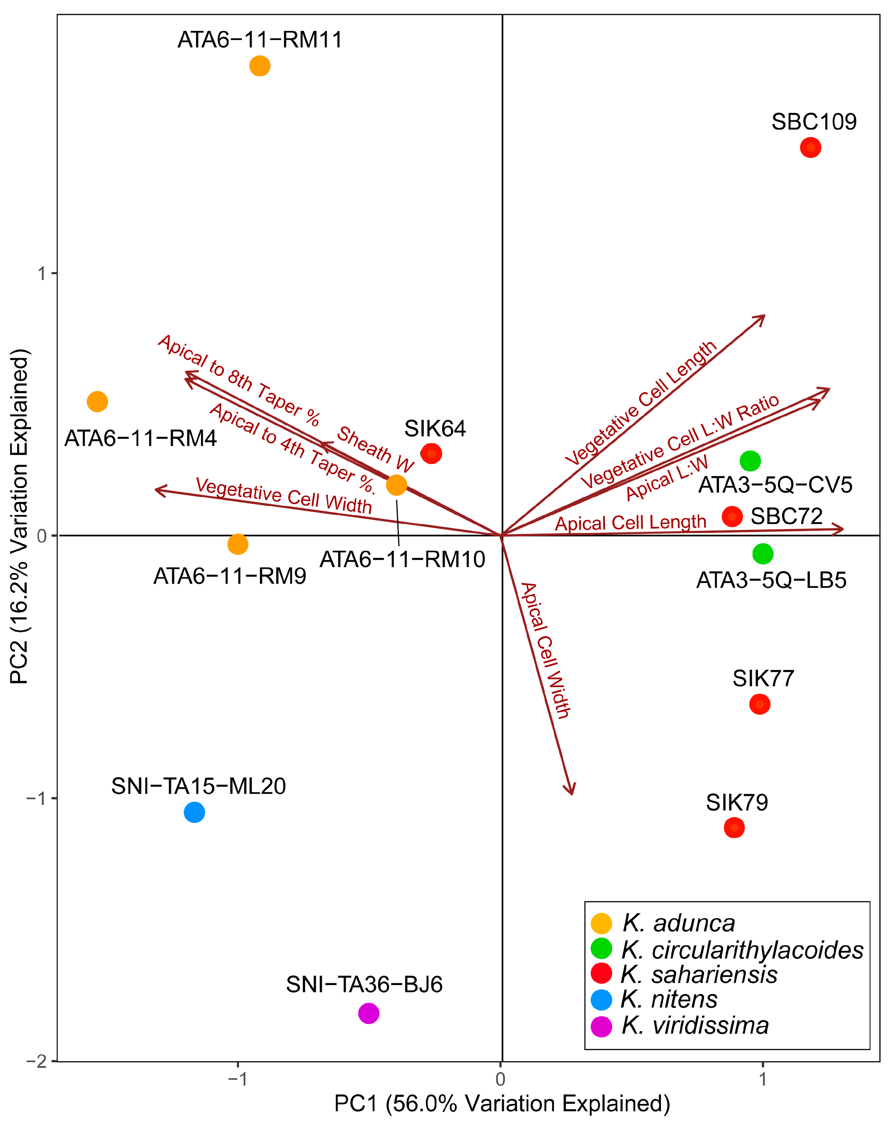 Diversity 16 00474 g007