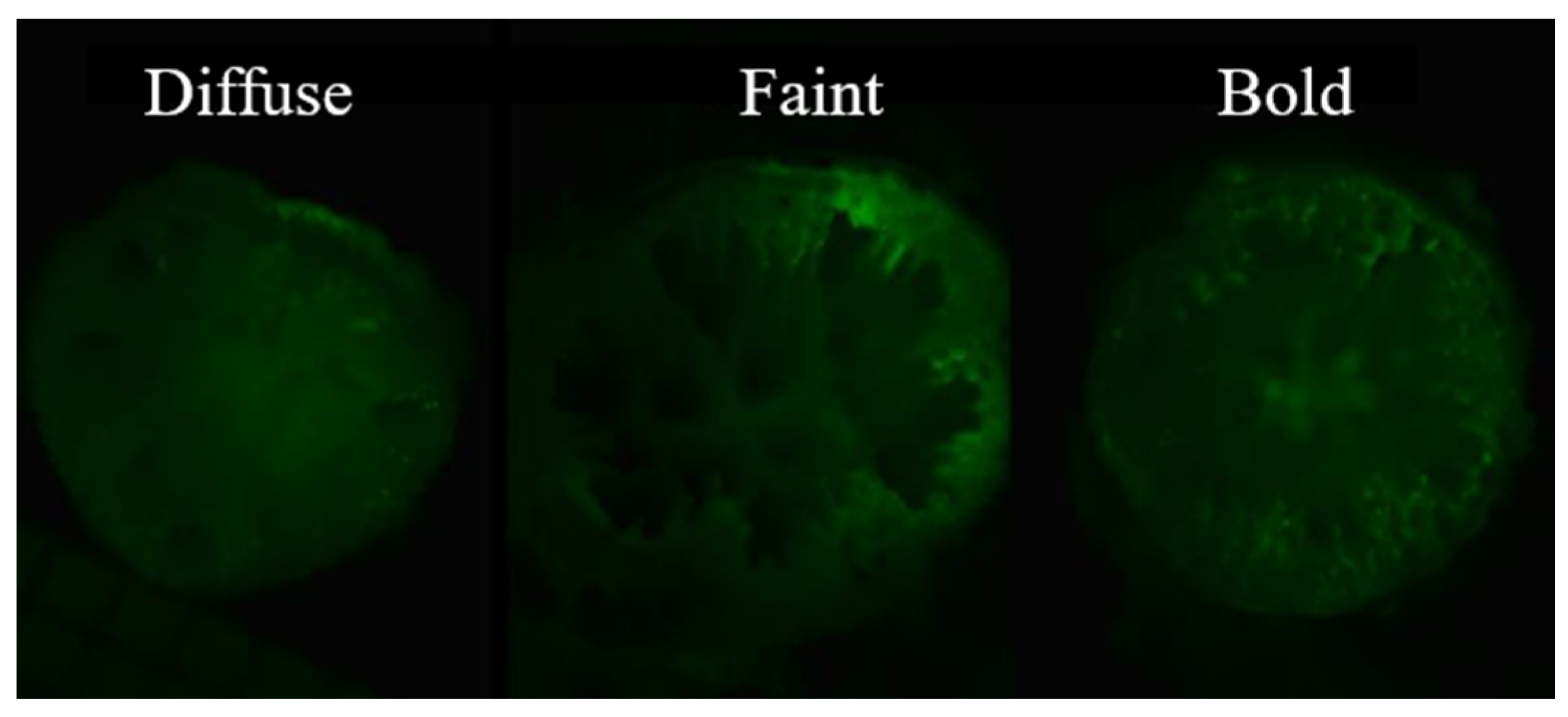 Diversity 16 00475 g002 Diversity 16 00475 g002