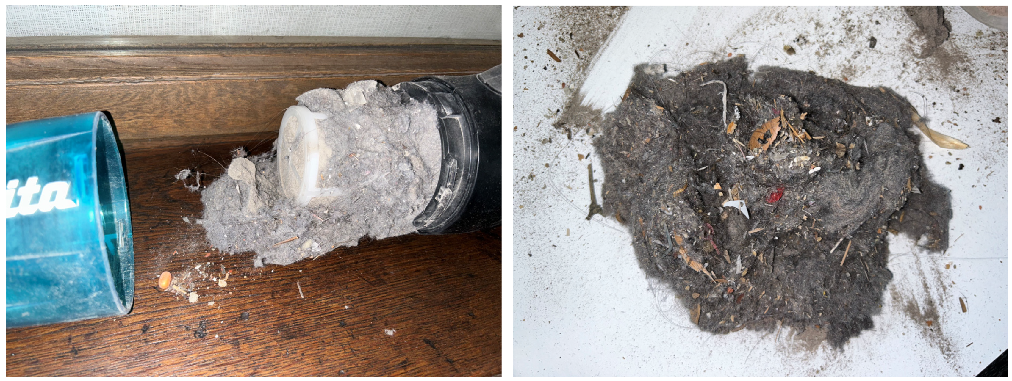 Diversity 16 00476 g002 Diversity 16 00476 g002