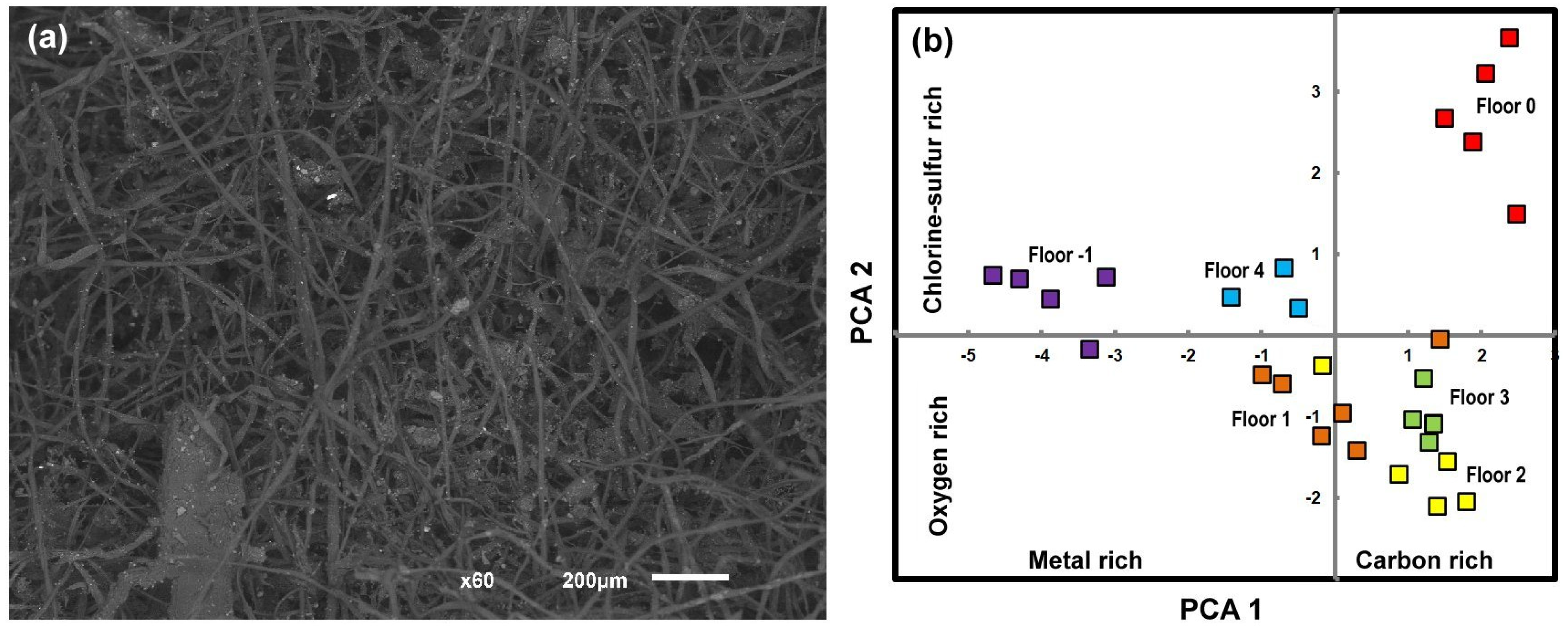 Diversity 16 00476 g007 Diversity 16 00476 g007