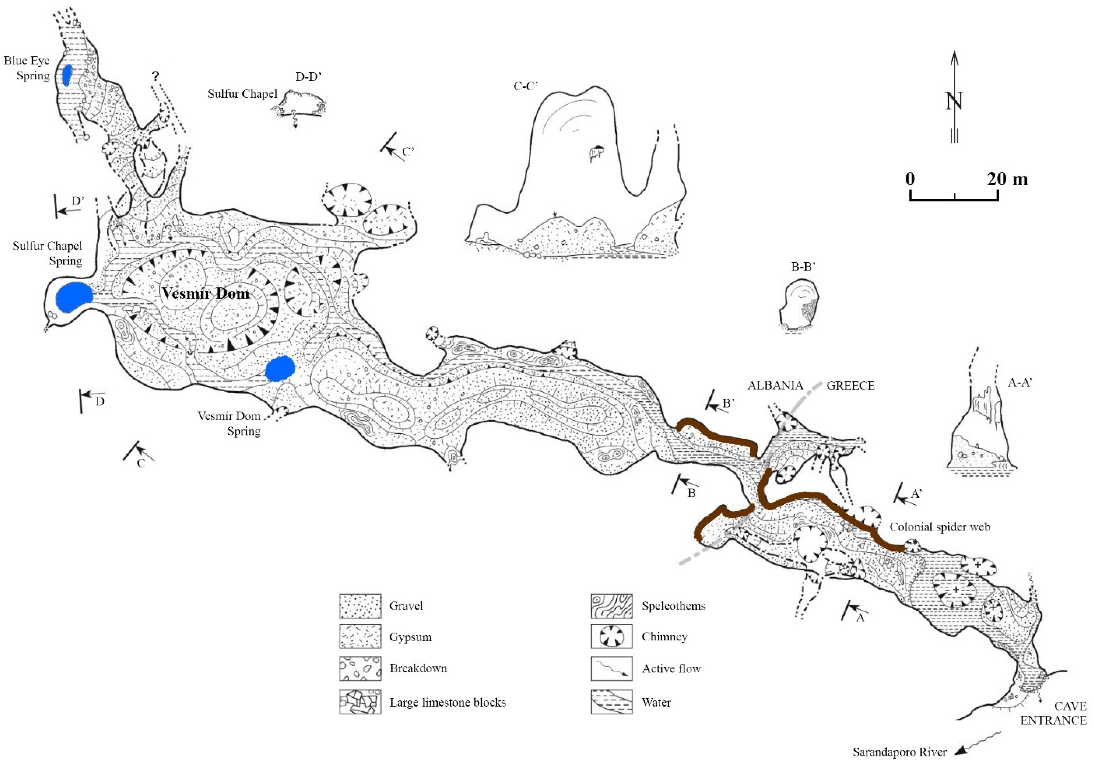 Diversity 16 00477 g002