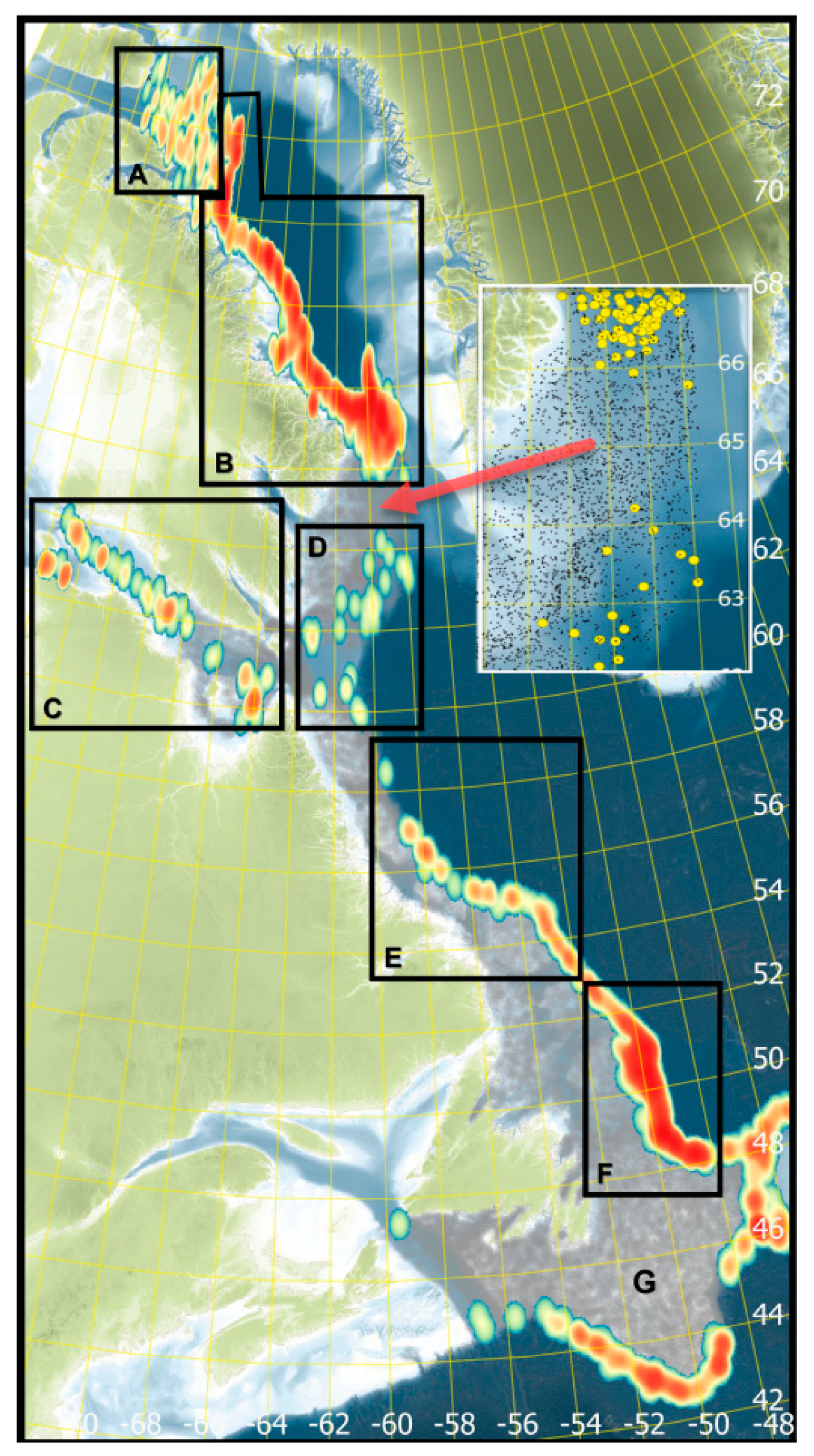Diversity 16 00479 g008