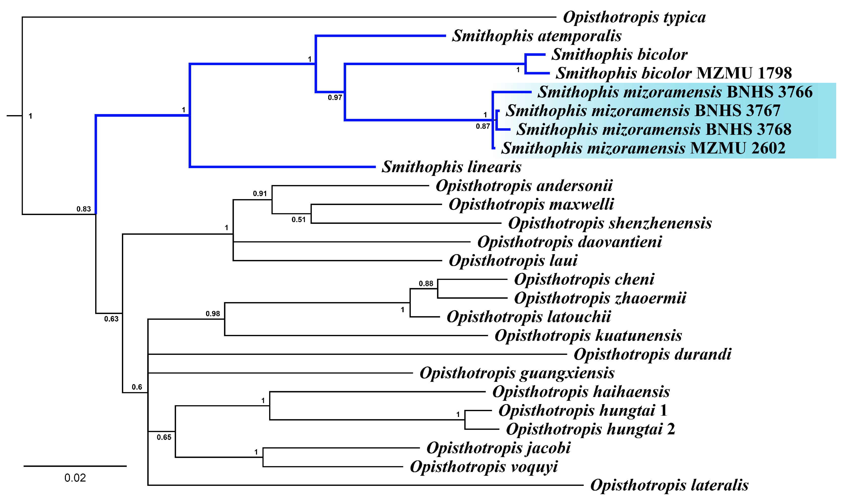Diversity 16 00480 g001