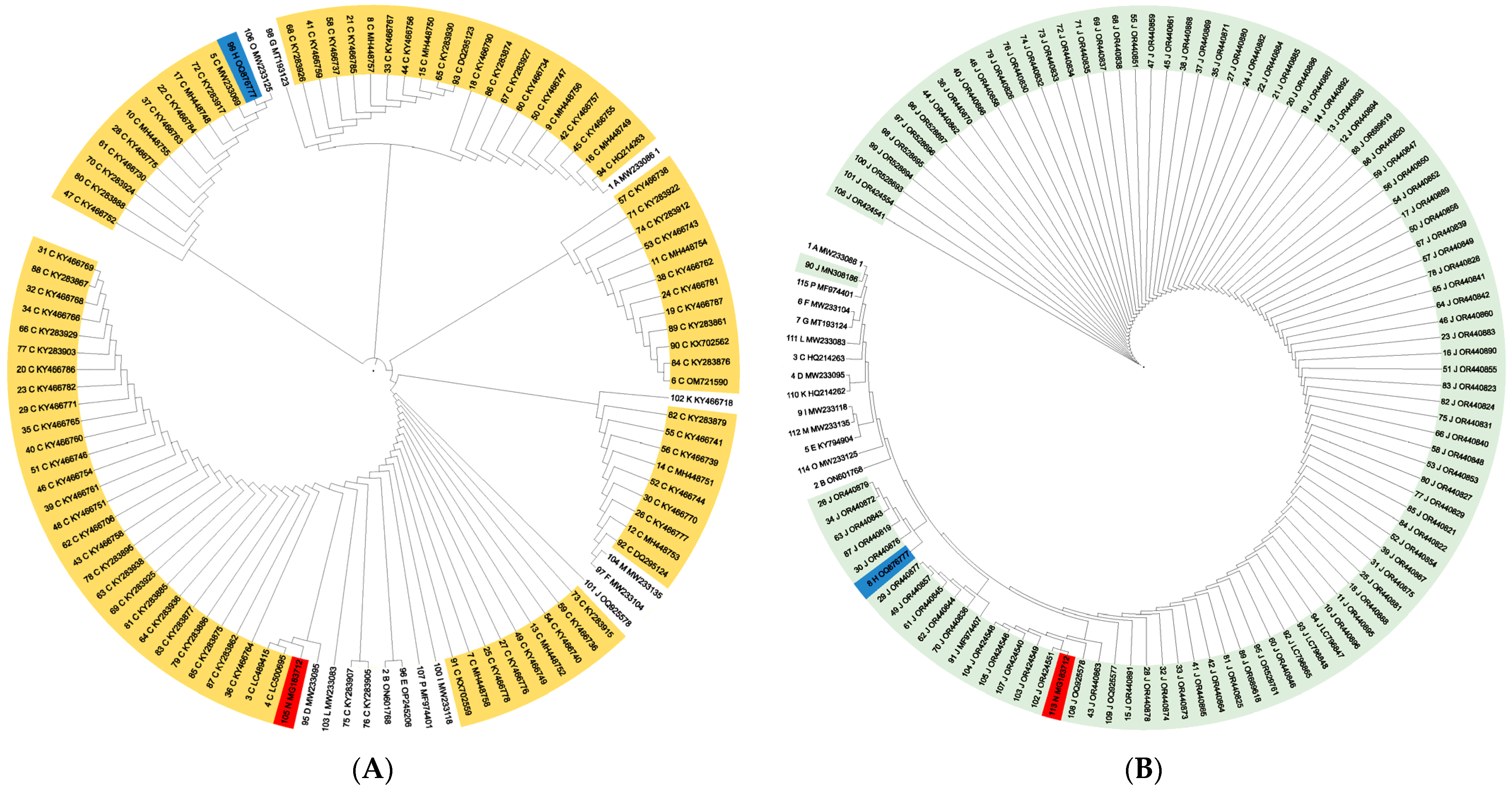 Diversity 16 00481 g001