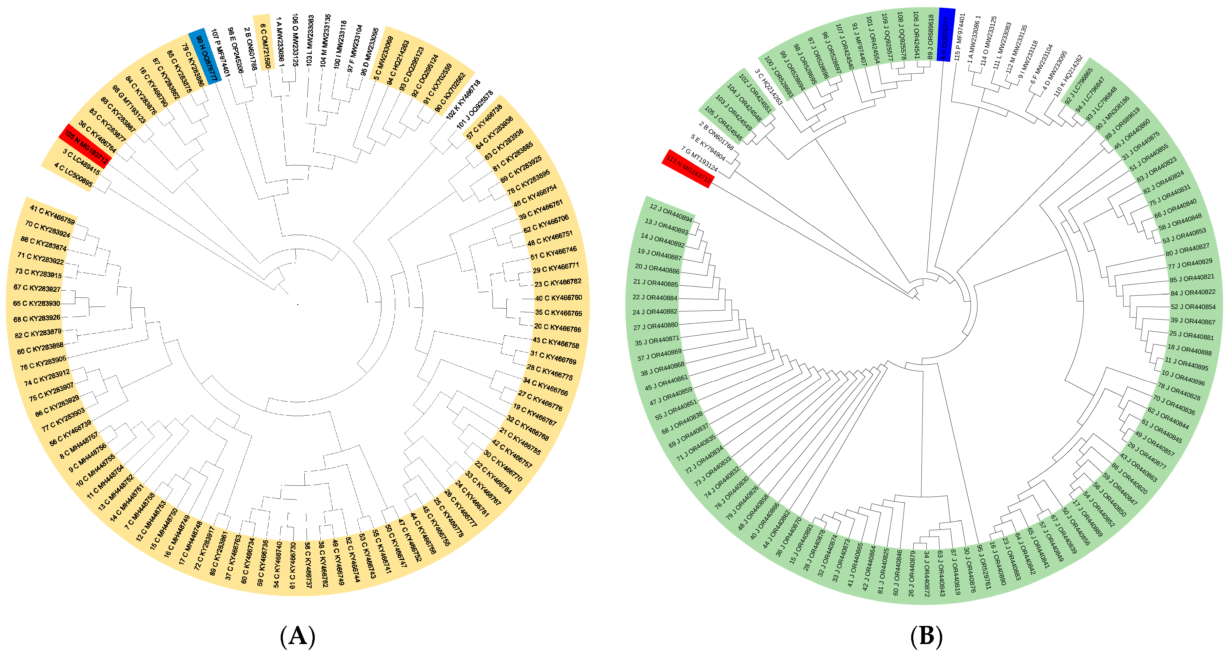 Diversity 16 00481 g002