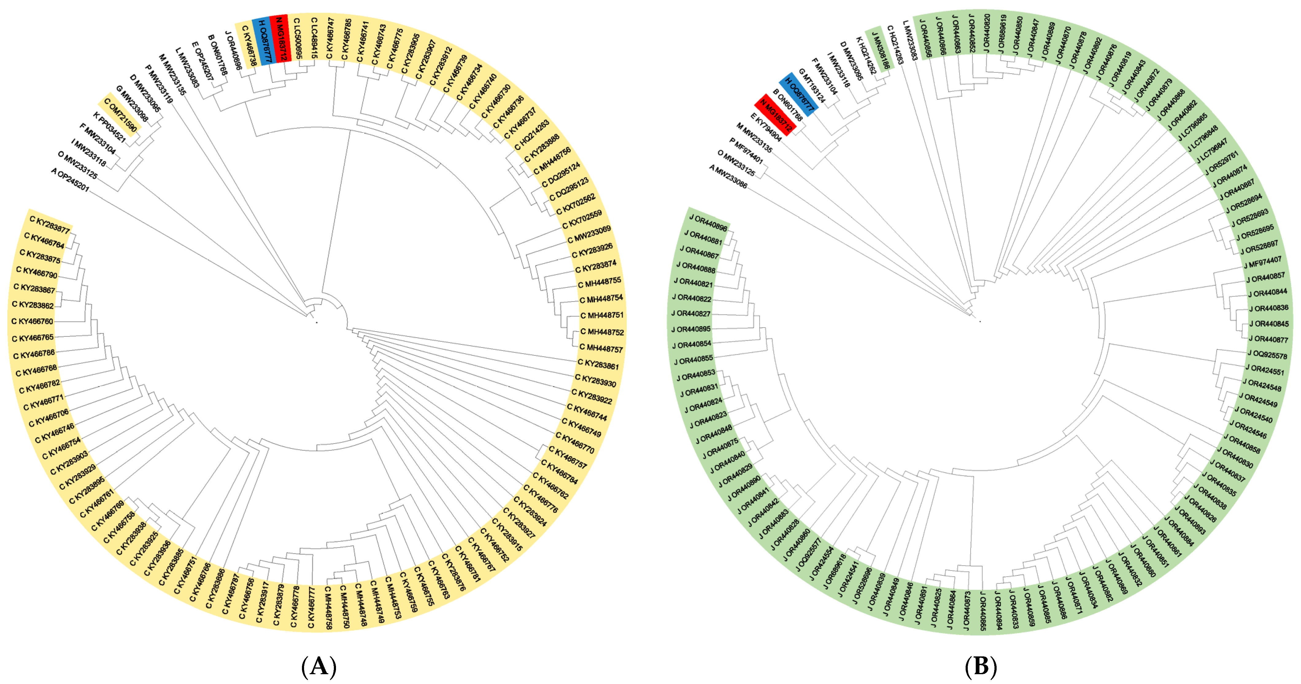 Diversity 16 00481 g003