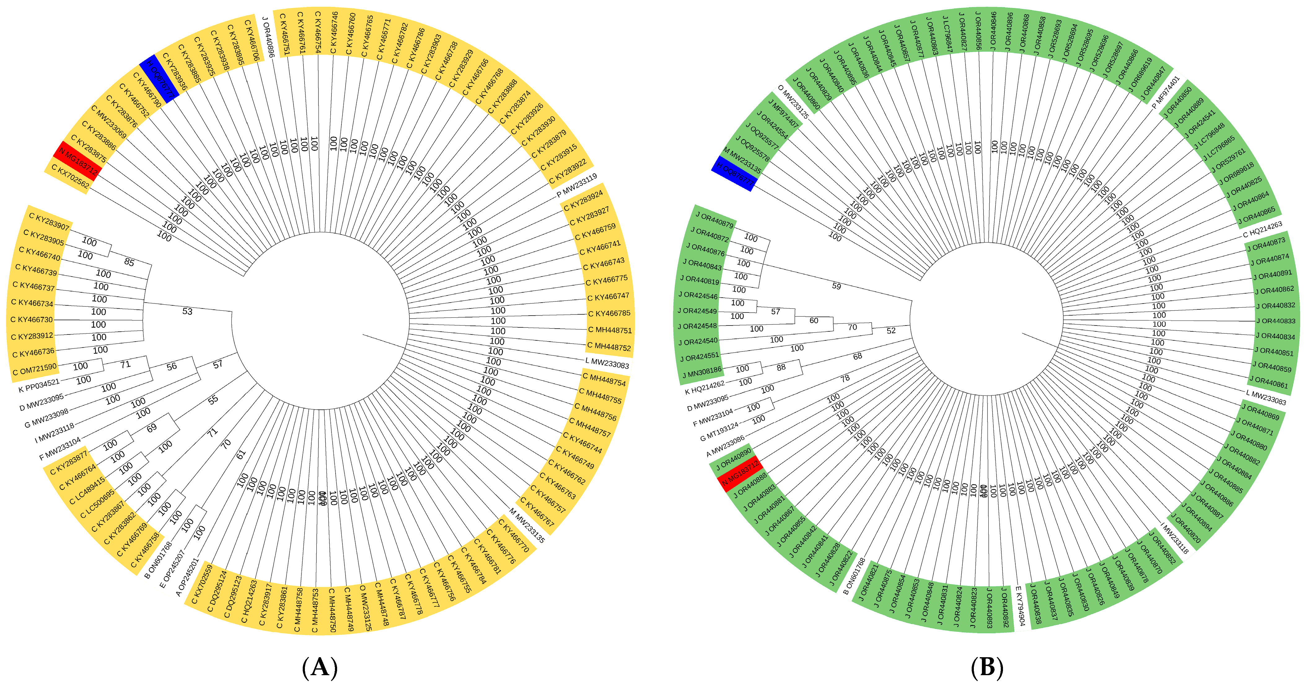 Diversity 16 00481 g004