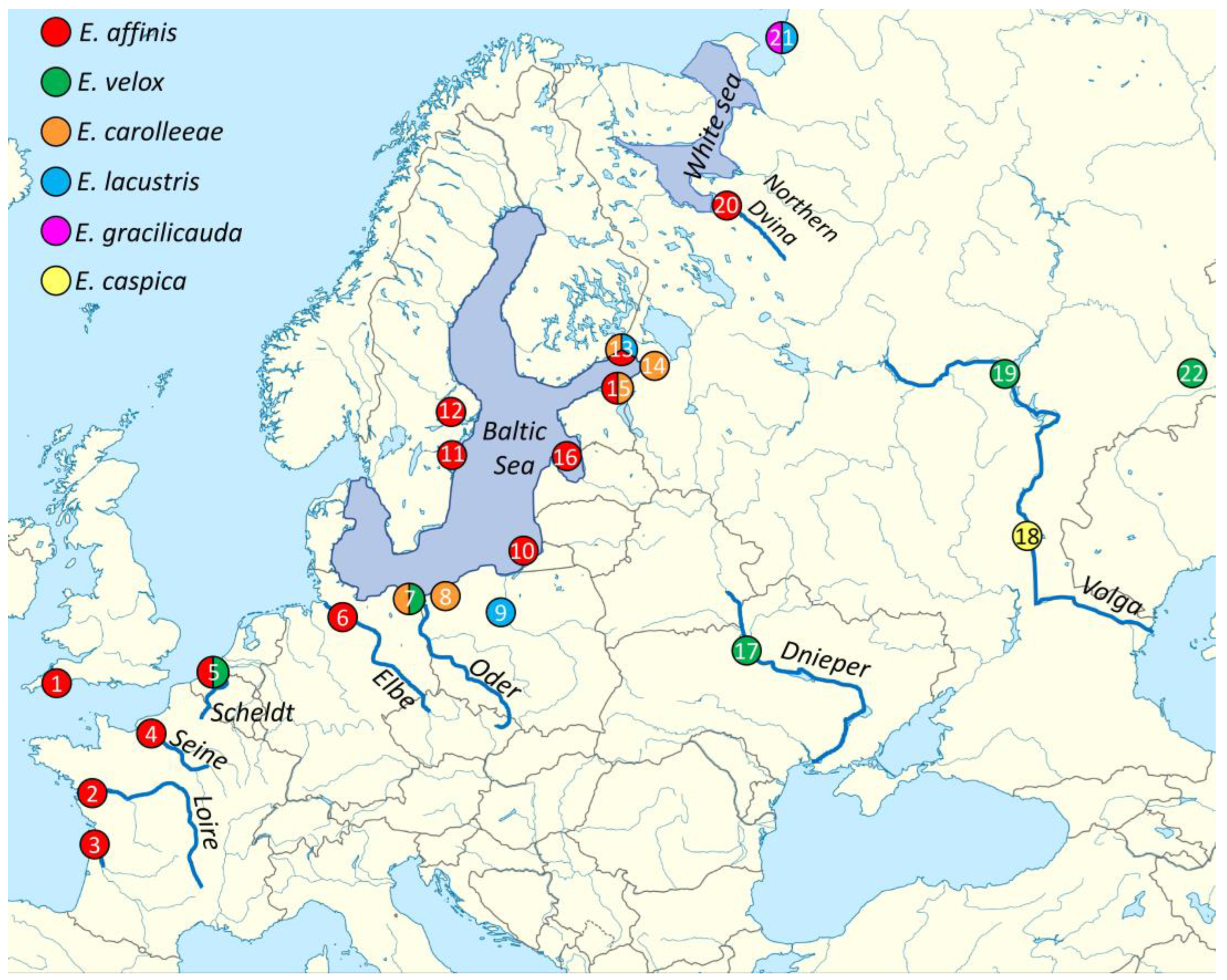 Diversity 16 00483 g001