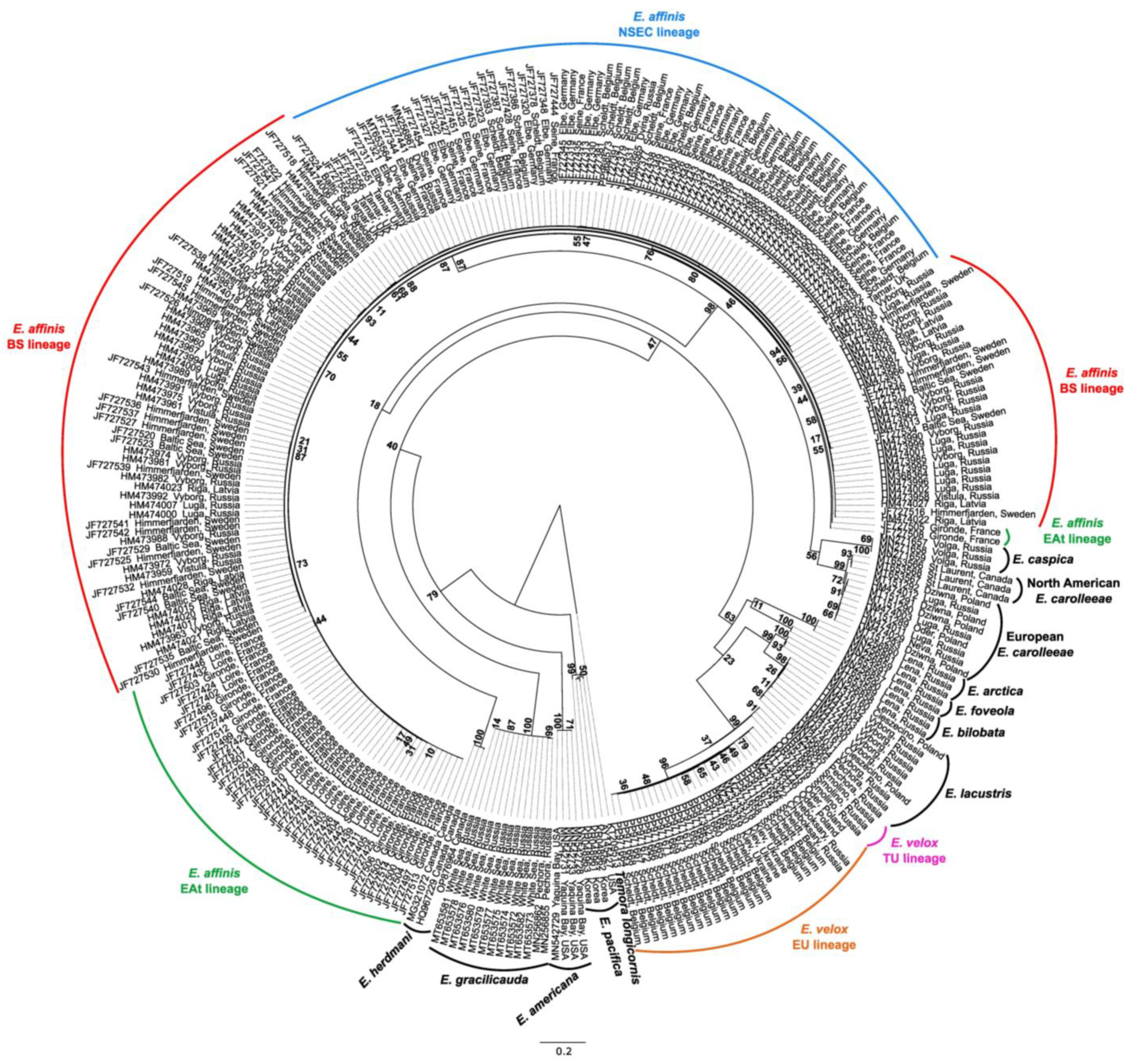 Diversity 16 00483 g002