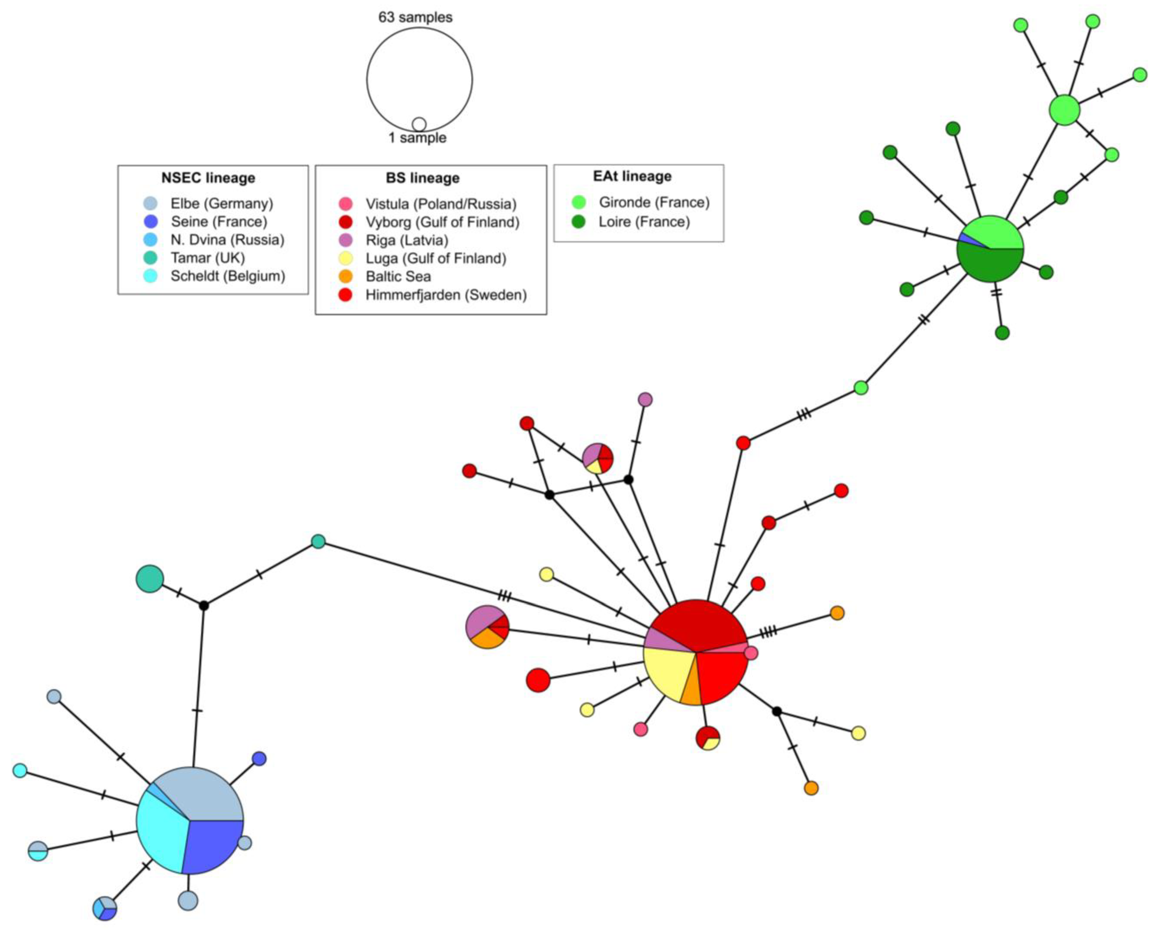 Diversity 16 00483 g003