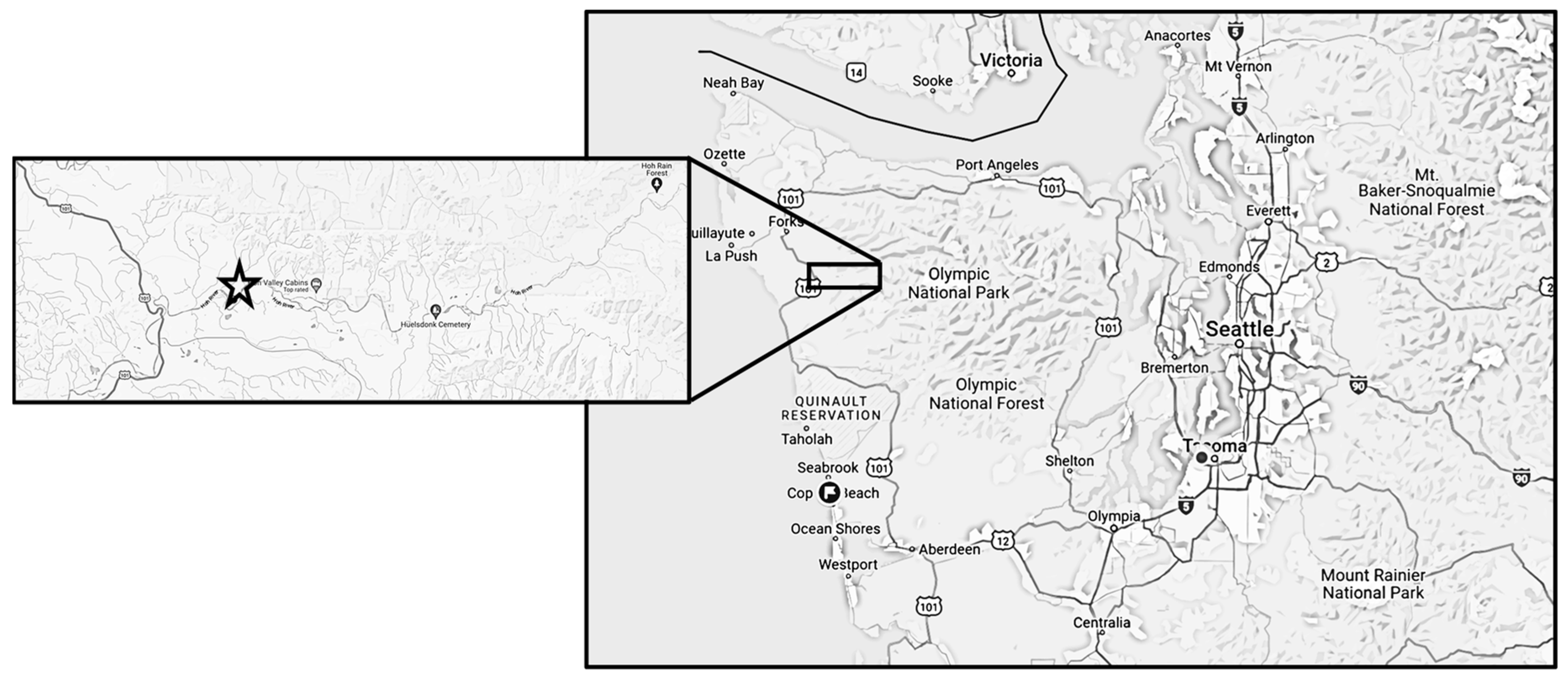 Diversity 16 00484 g001 Diversity 16 00484 g001