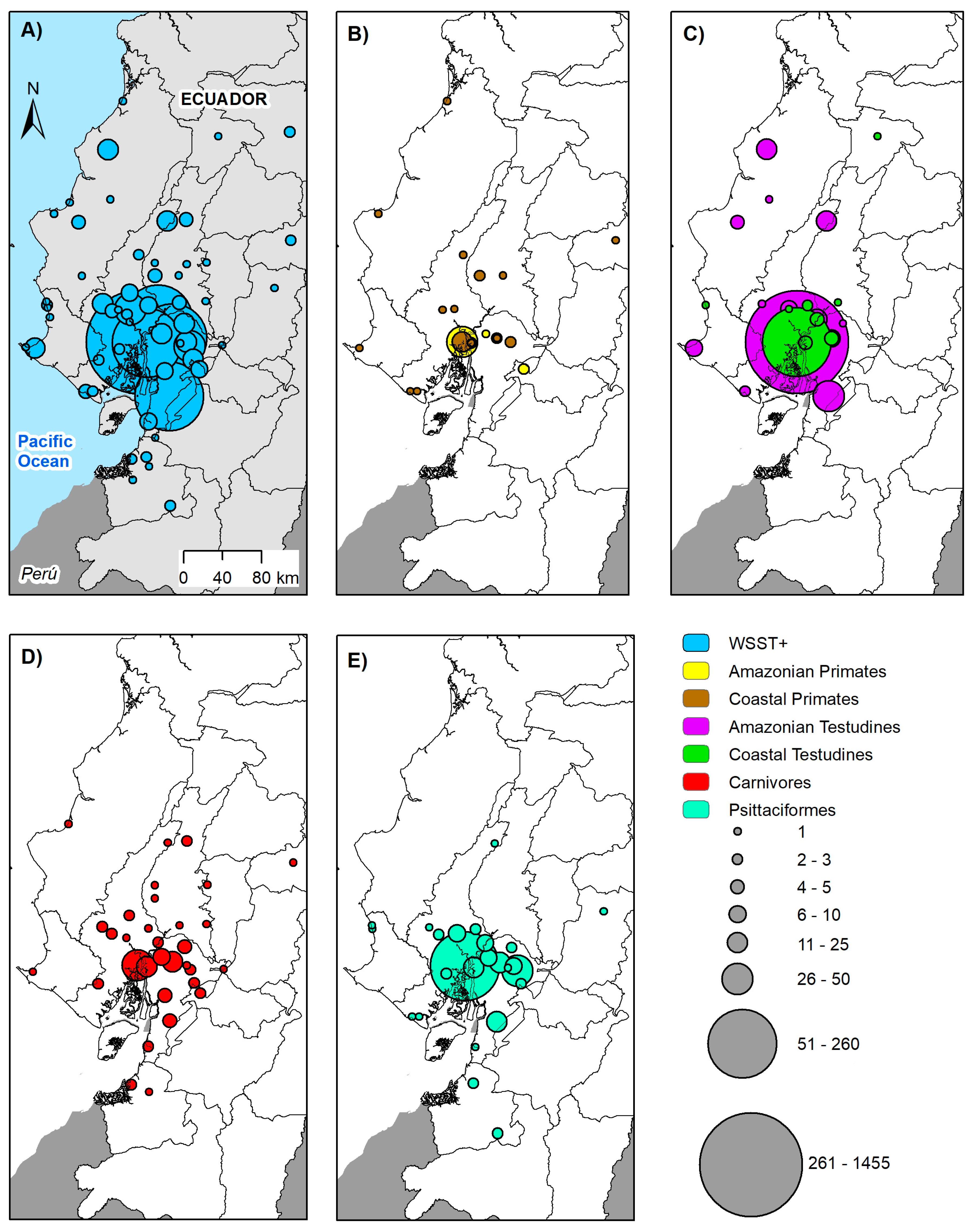 Diversity 16 00490 g004