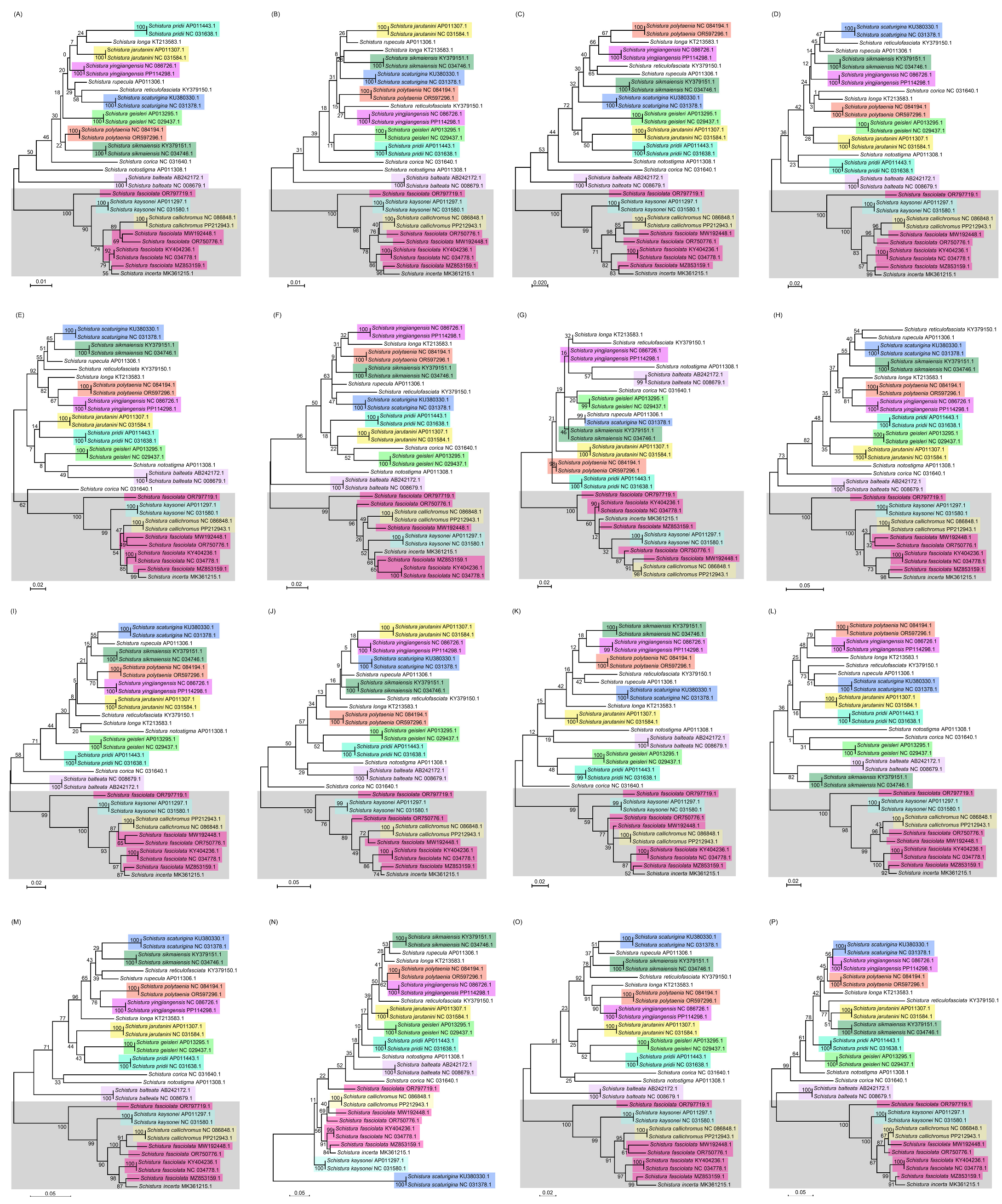 Diversity 16 00494 g002