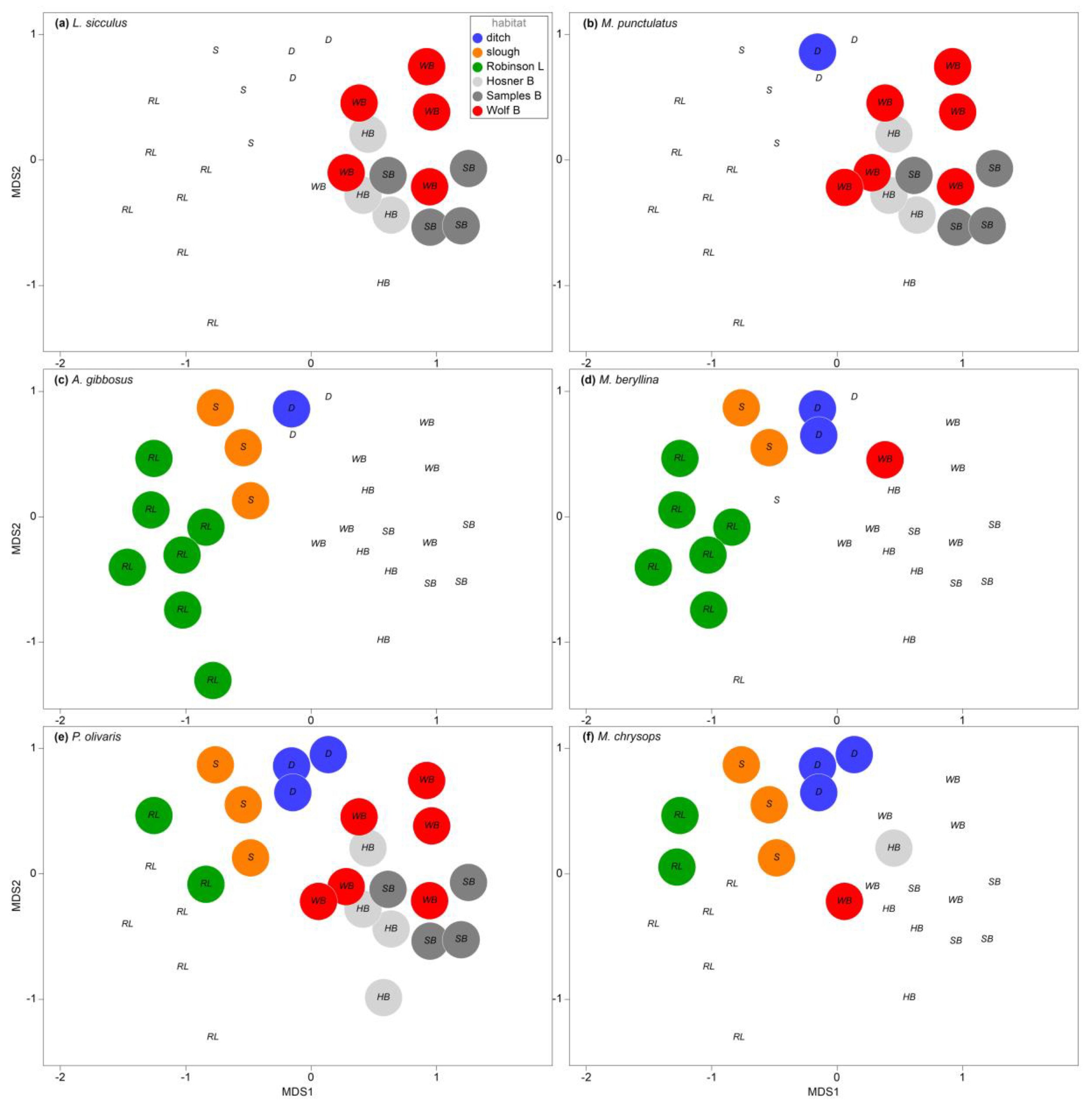 Diversity 16 00495 g005