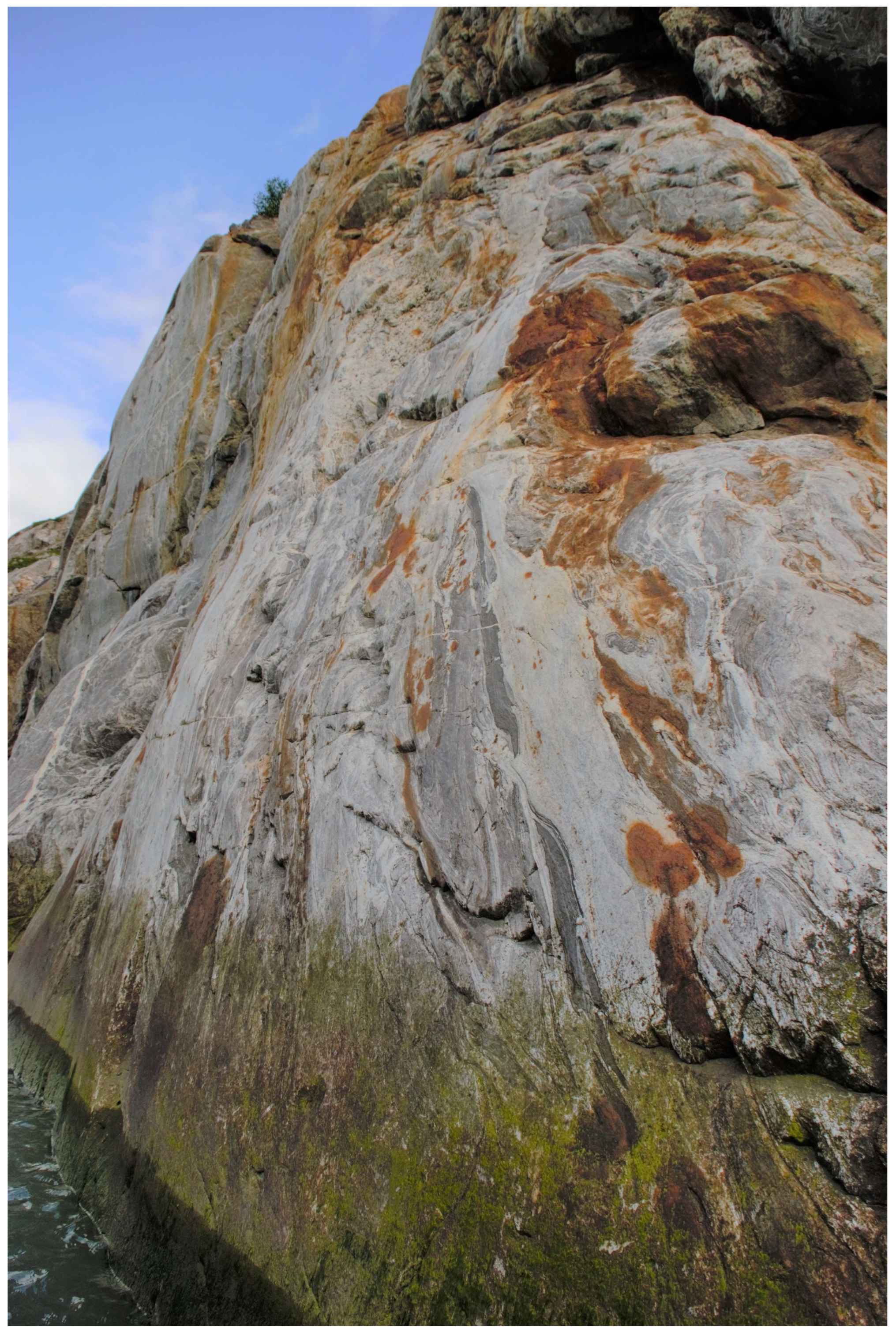 Diversity 16 00498 g012