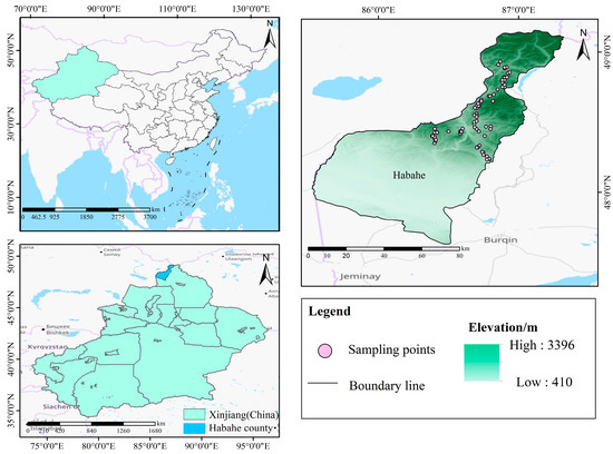 The Relationships between Plant Community Stability and
