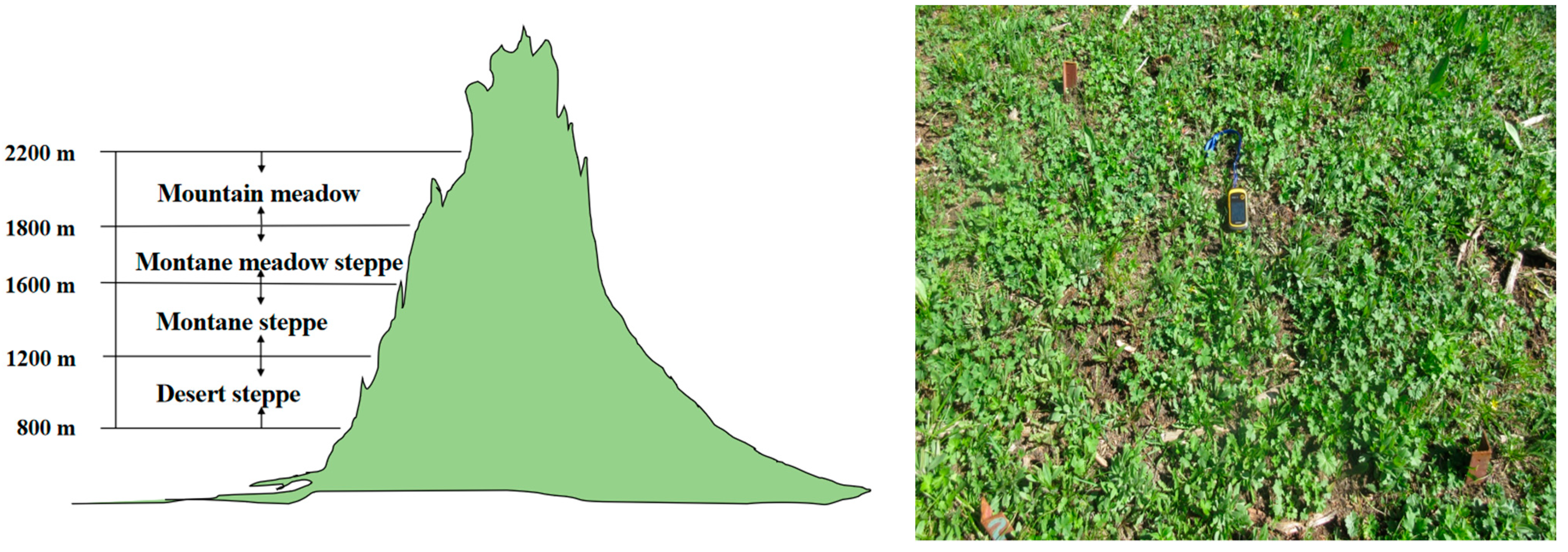 Diversity 16 00499 g002