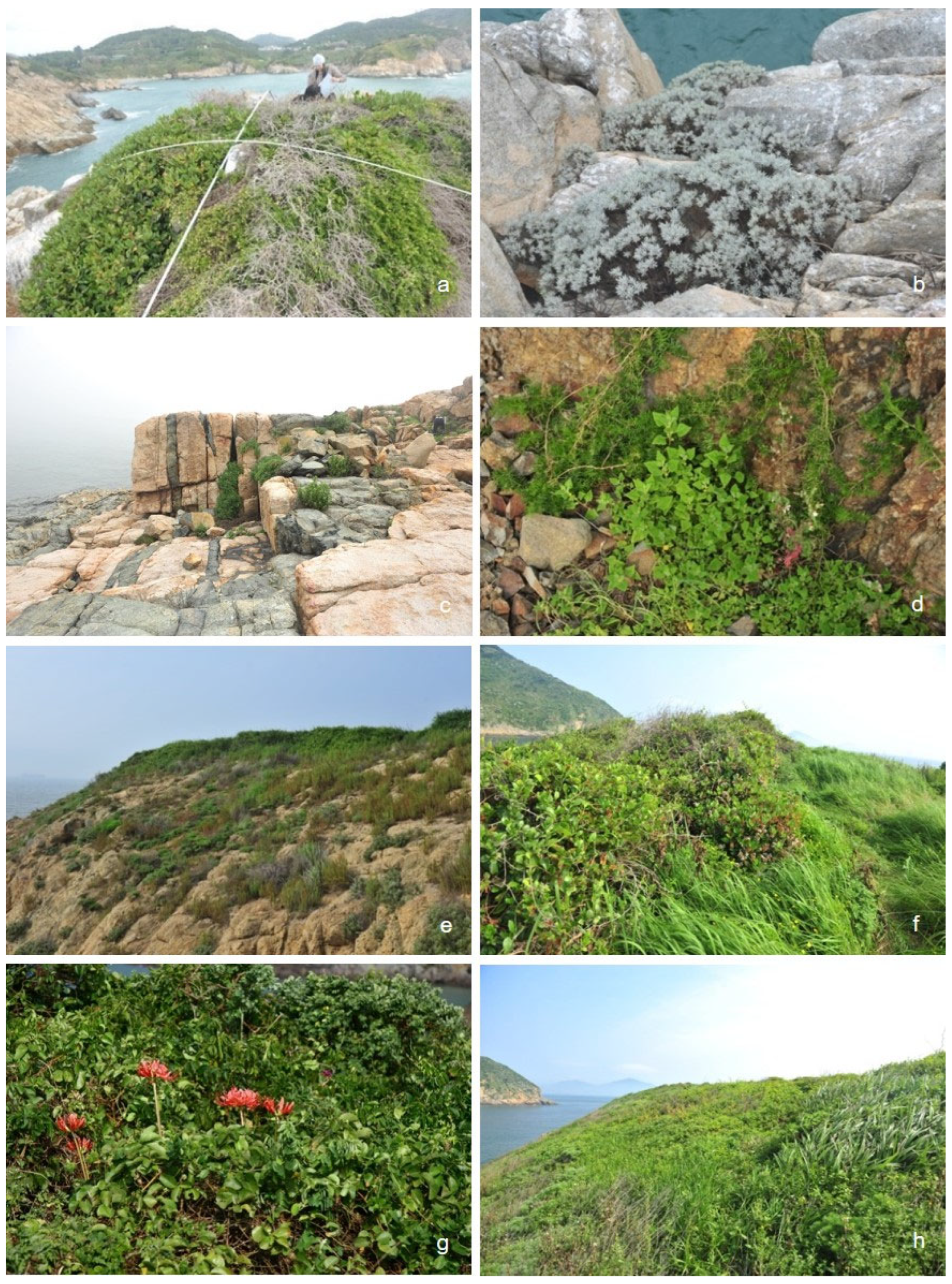 Diversity 16 00501 g0a2a