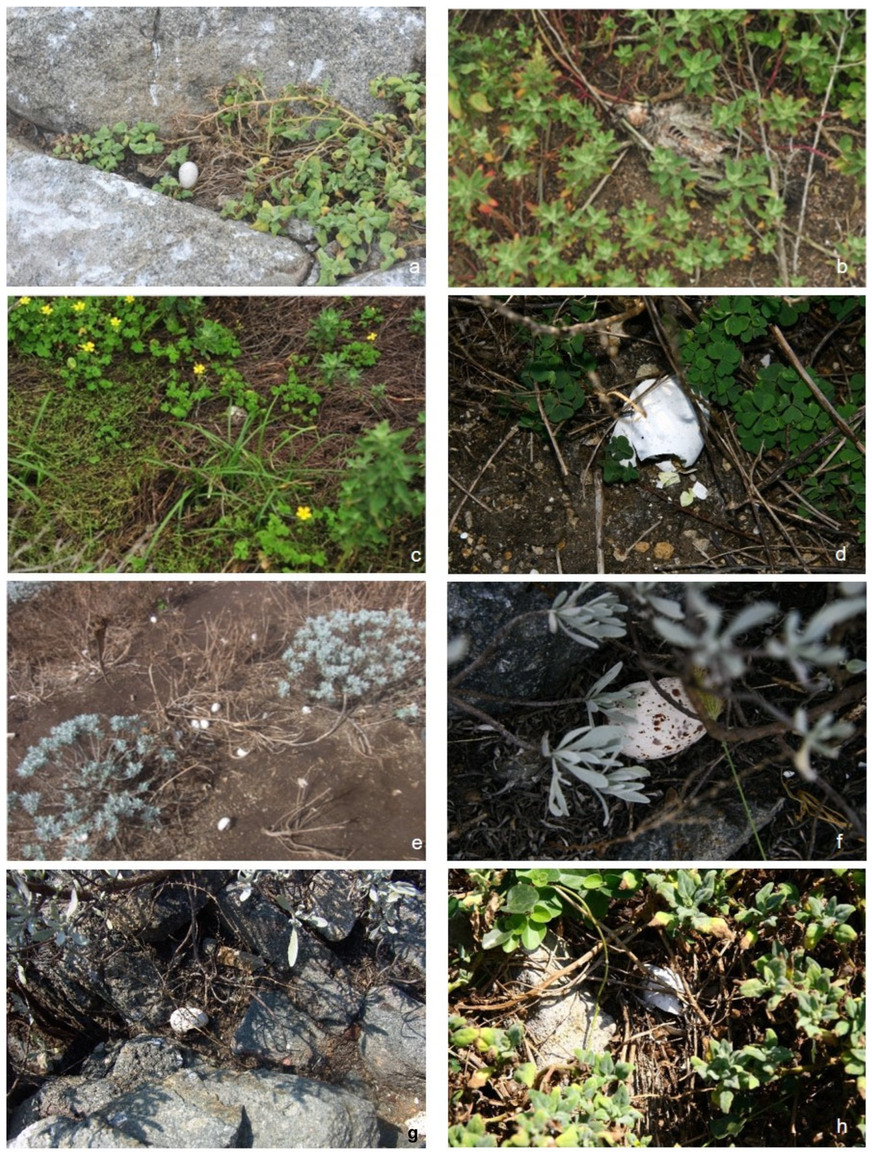 Diversity 16 00501 g0a3