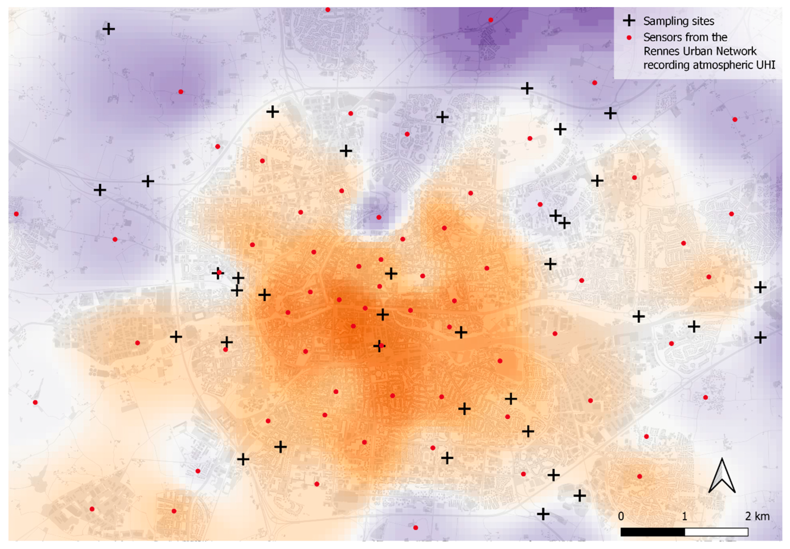 Diversity 16 00504 g001