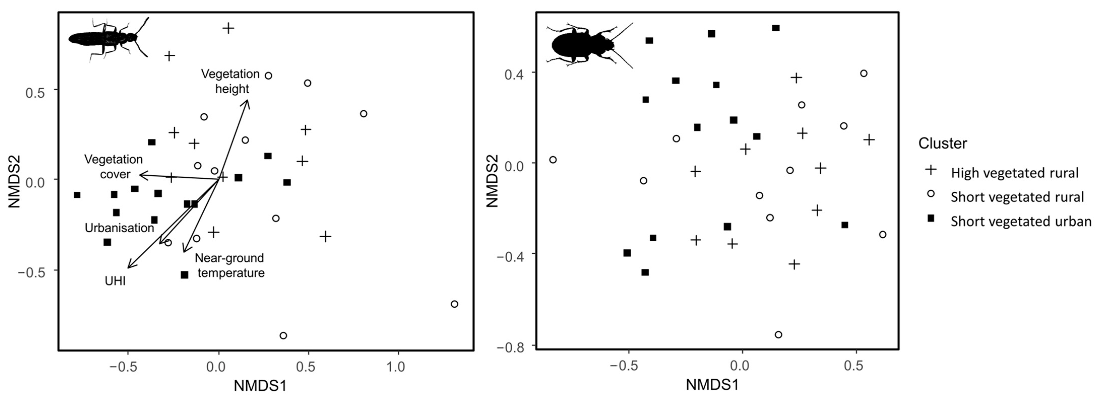 Diversity 16 00504 g002
