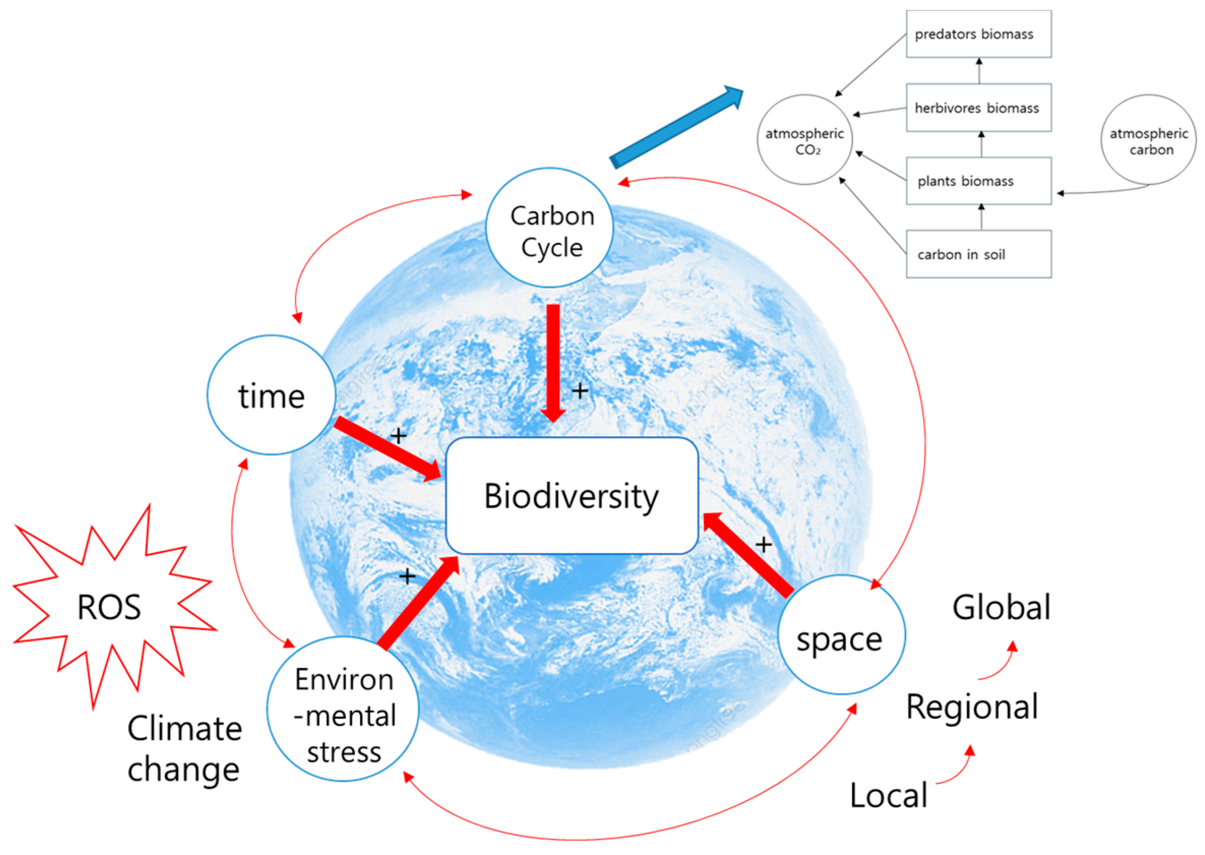 The Interaction between Climate Change and Biodiversity Can The Interaction between Climate Change and Biodiversity Can