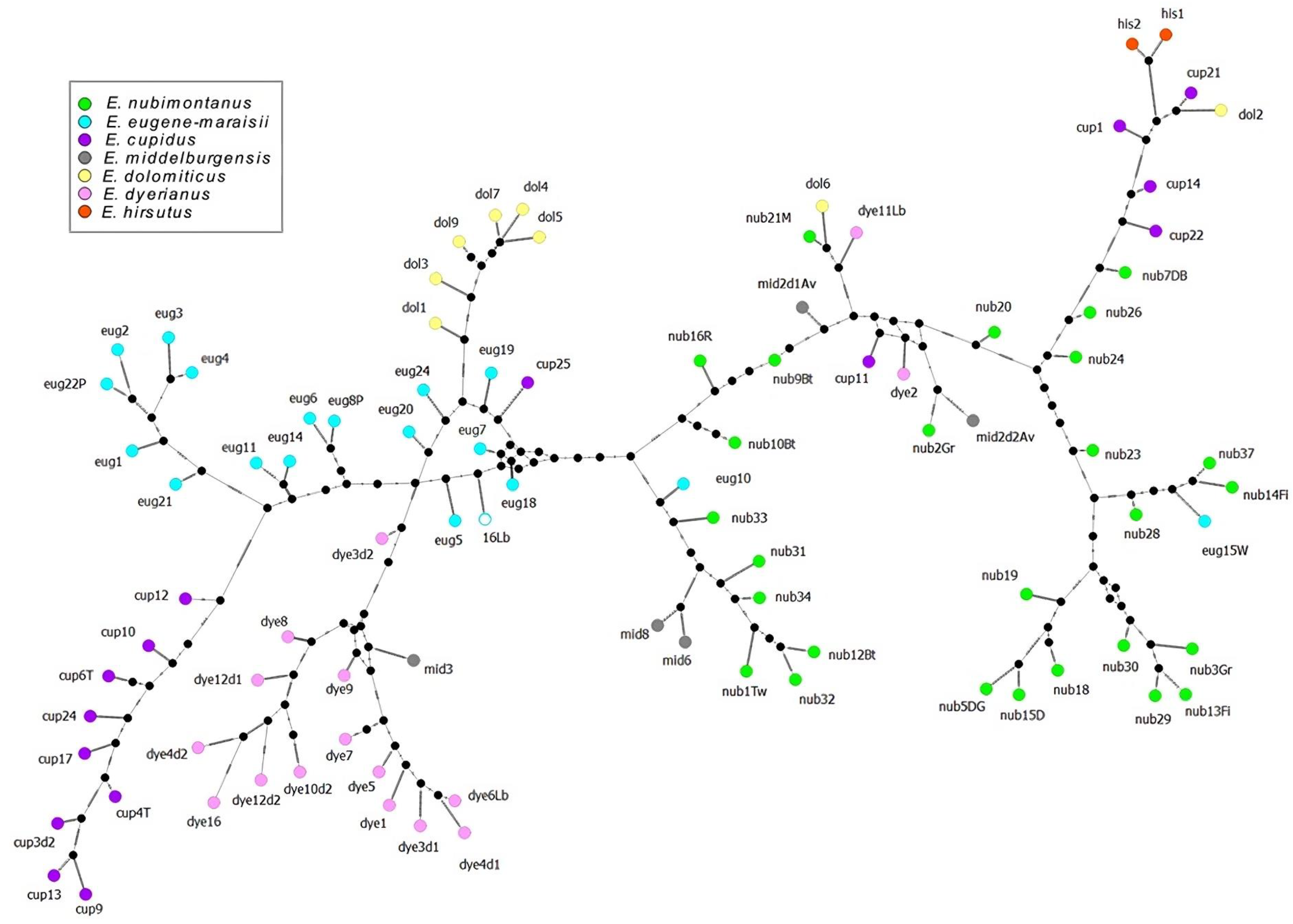 Diversity 16 00507 g006