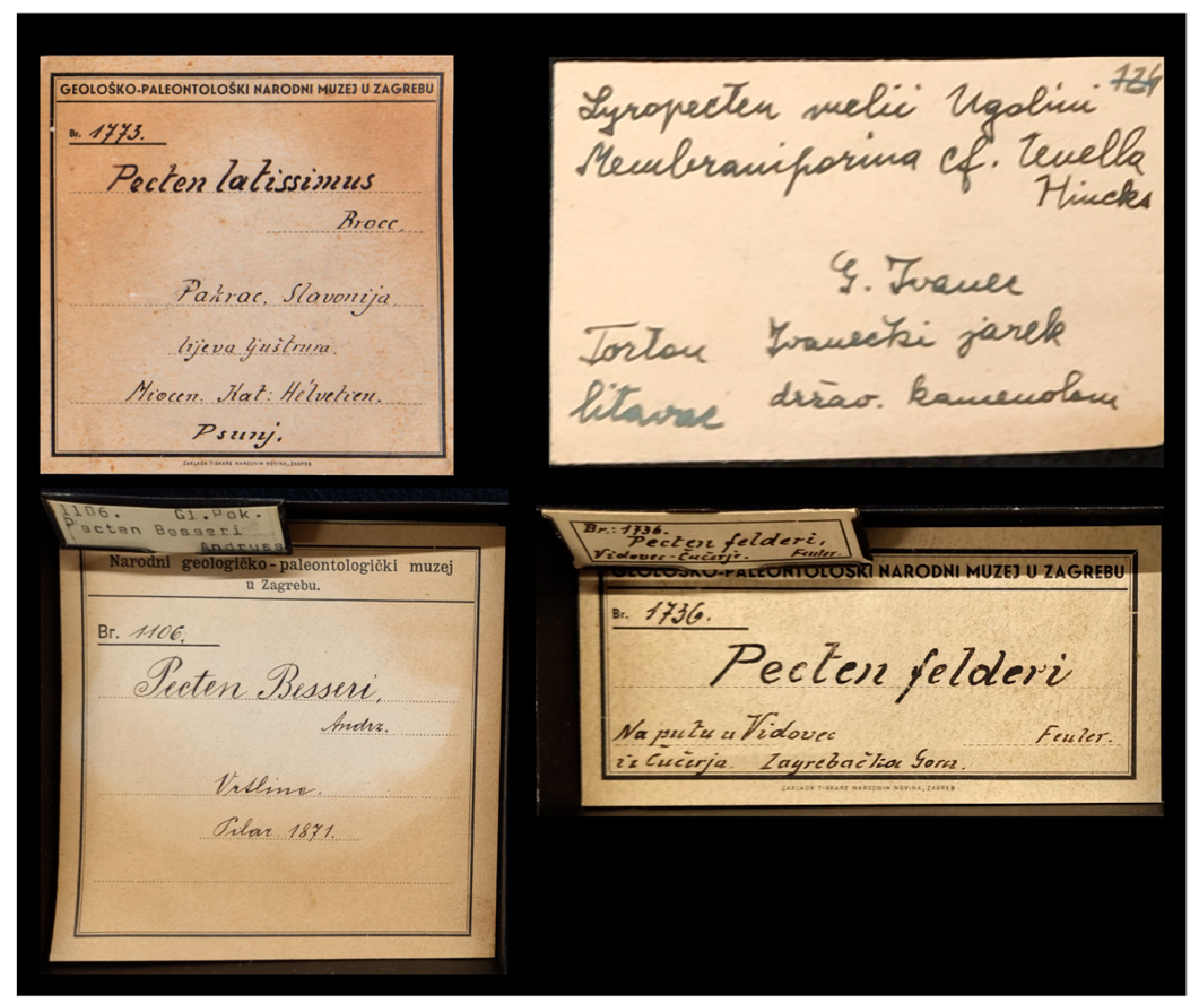 Diversity 16 00508 g003