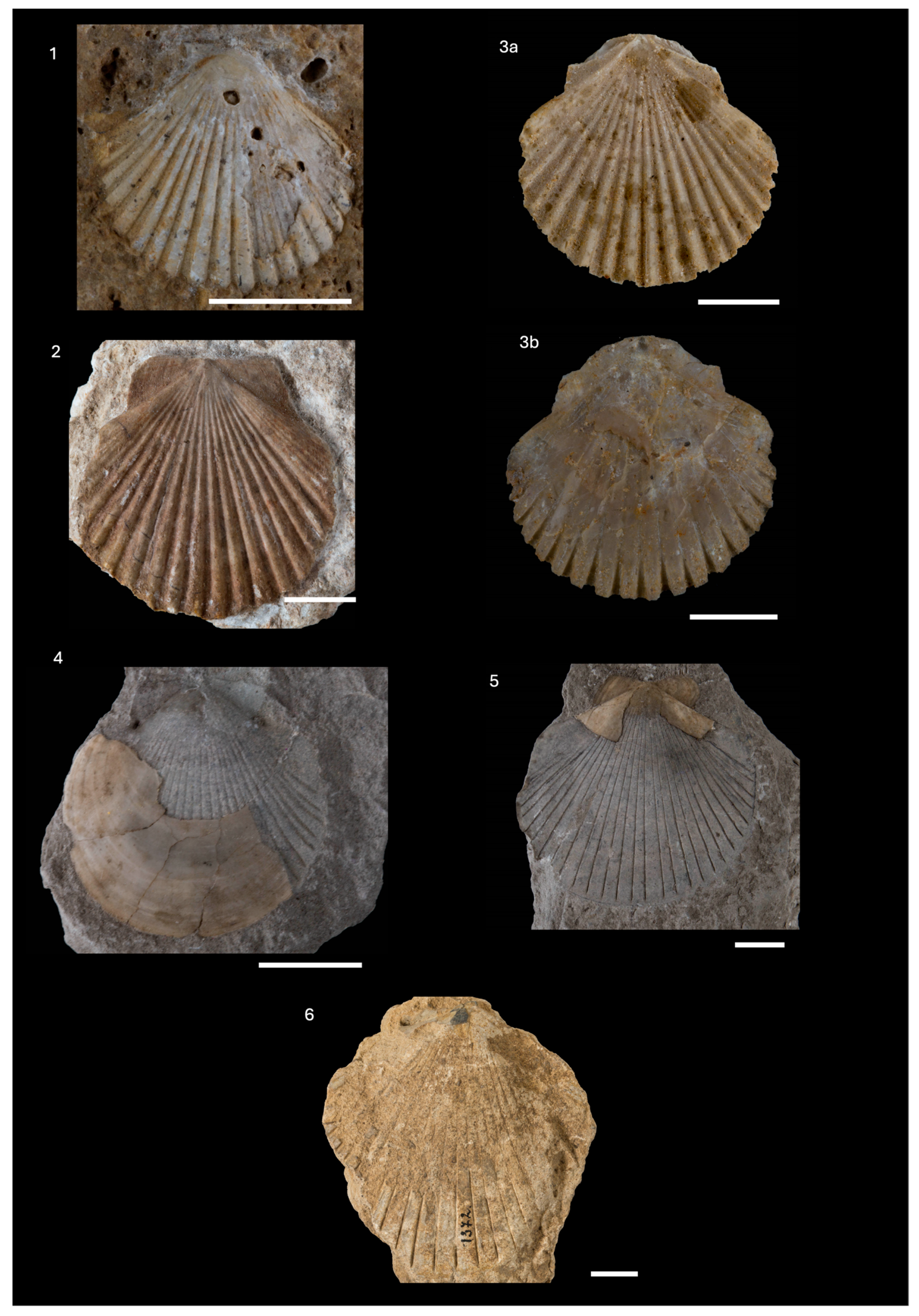 Diversity 16 00508 g008