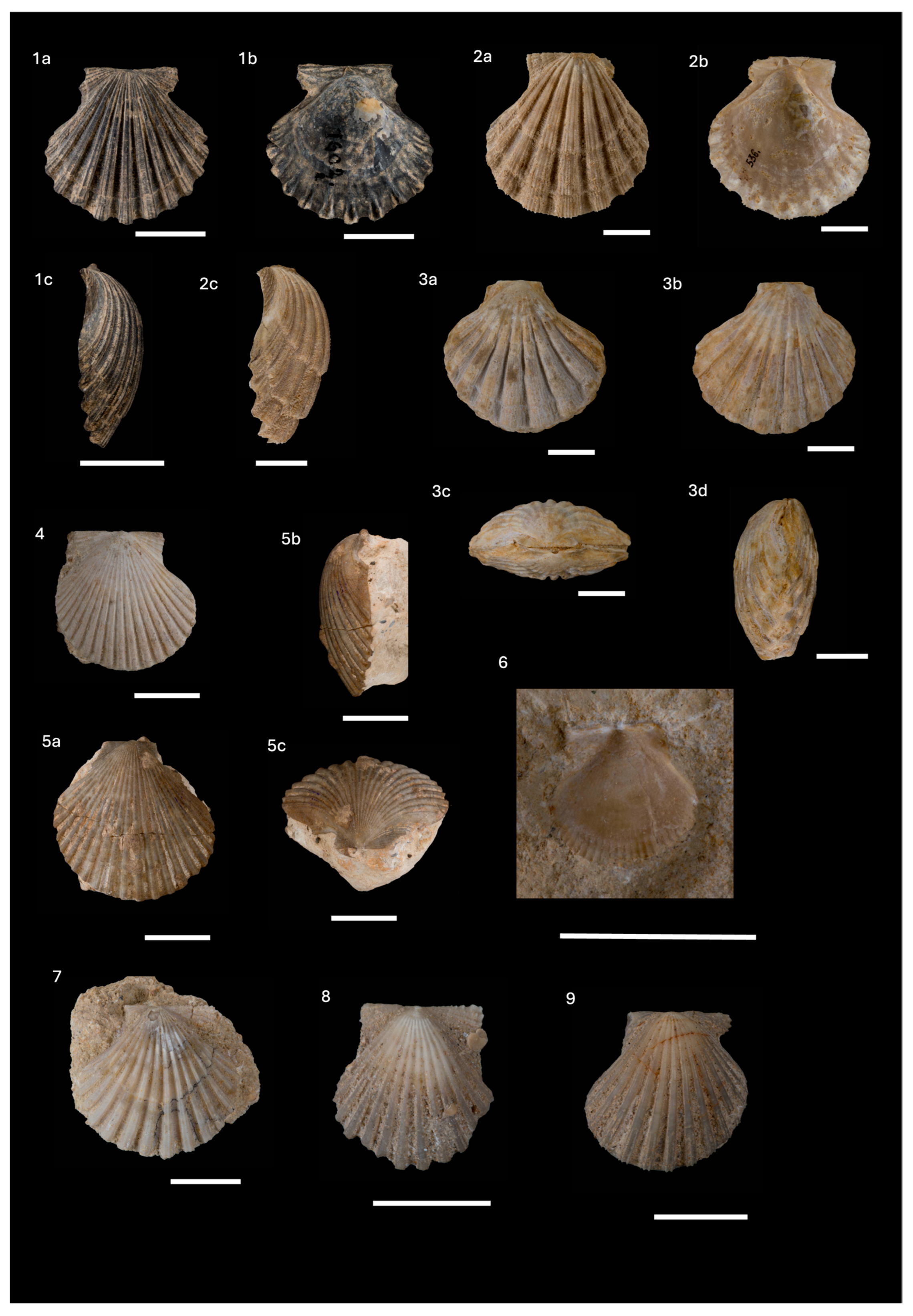 Diversity 16 00508 g009