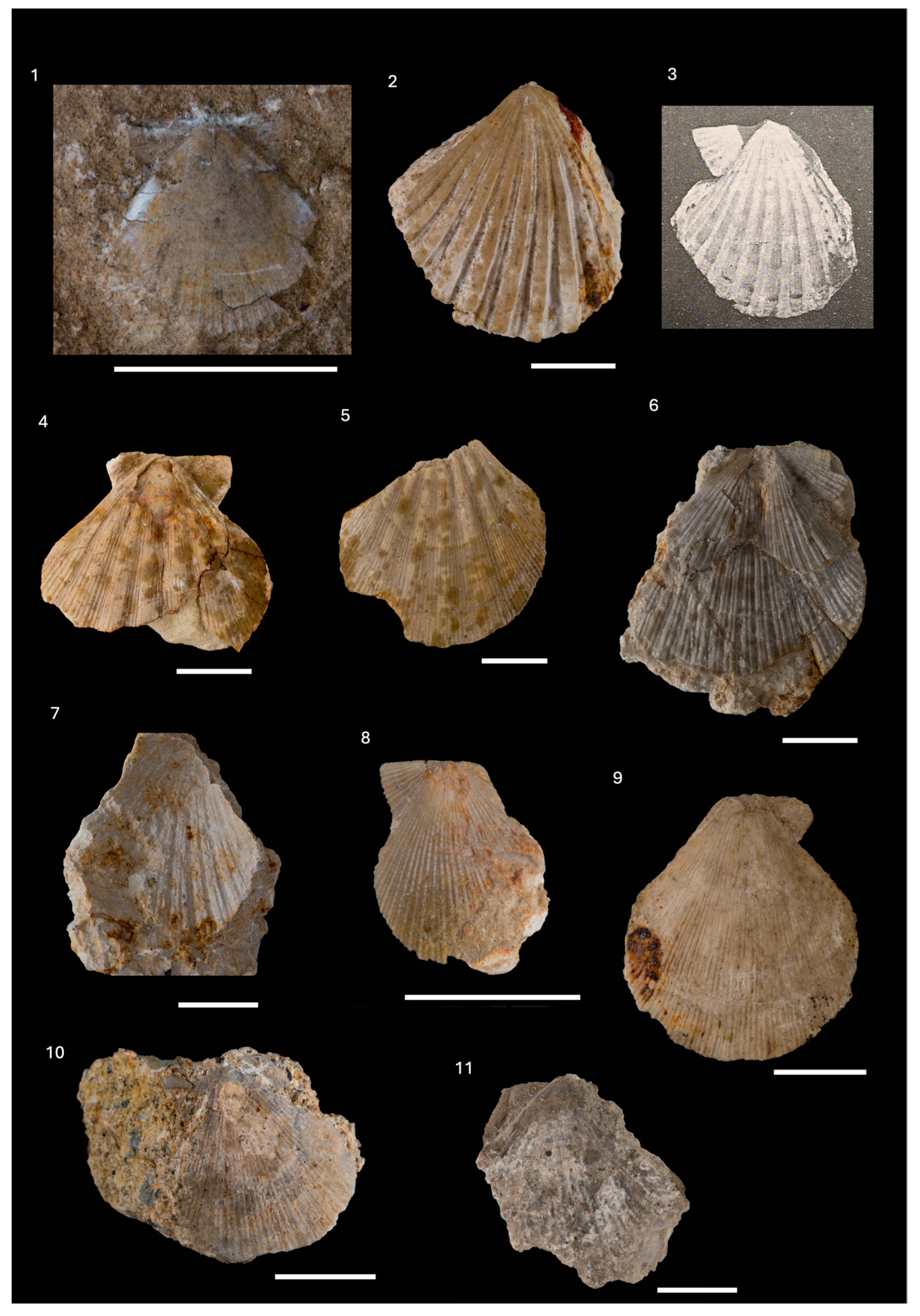 Diversity 16 00508 g013