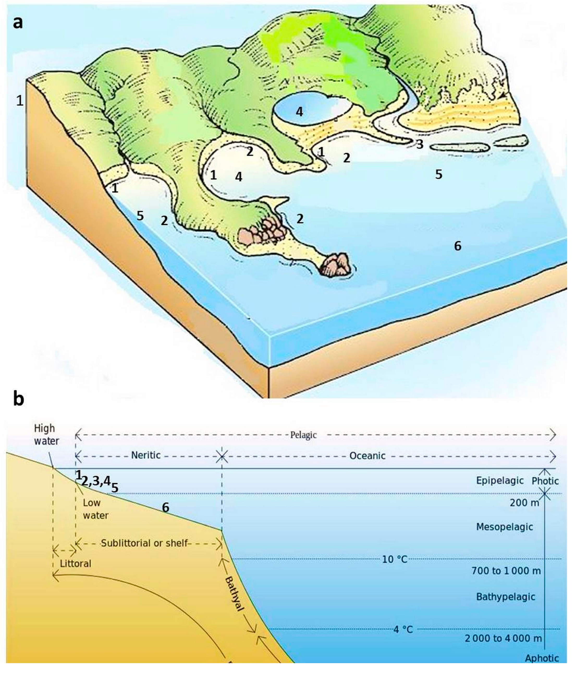 Diversity 16 00508 g018