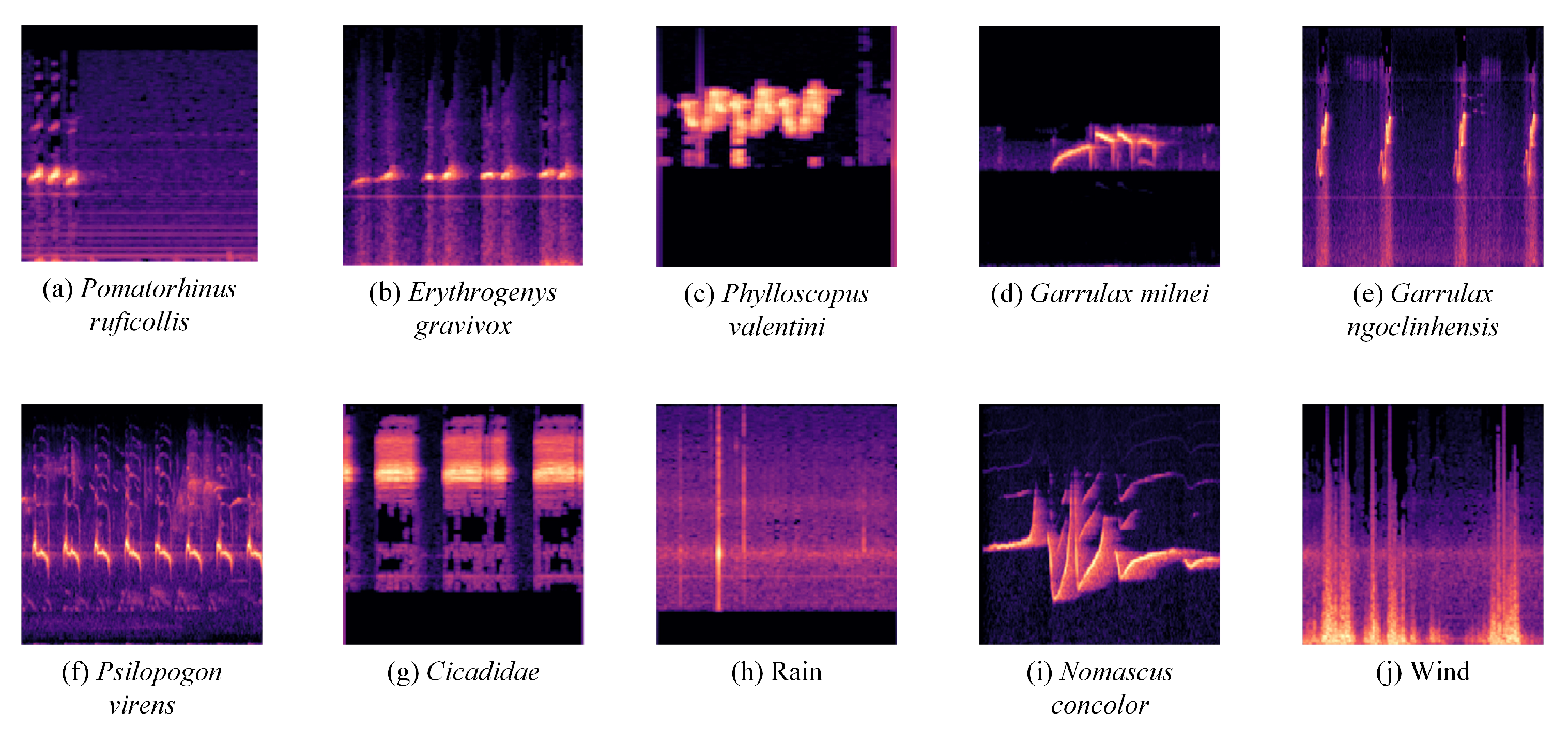 Diversity 16 00509 g001