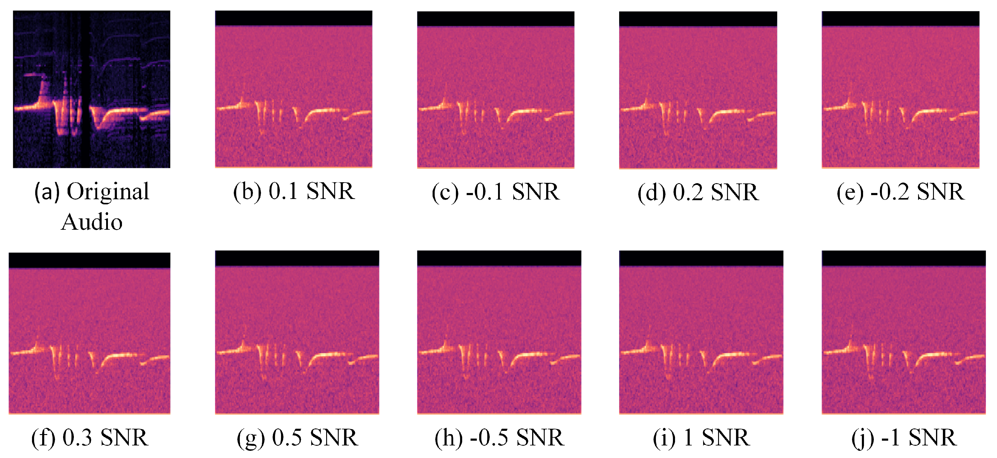 Diversity 16 00509 g002