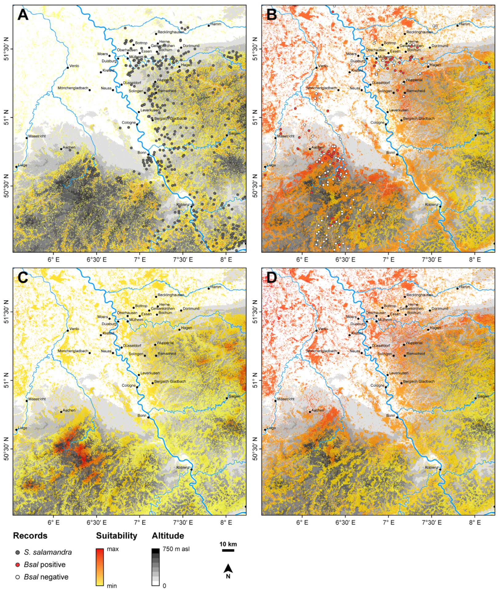 Diversity 16 00510 g001