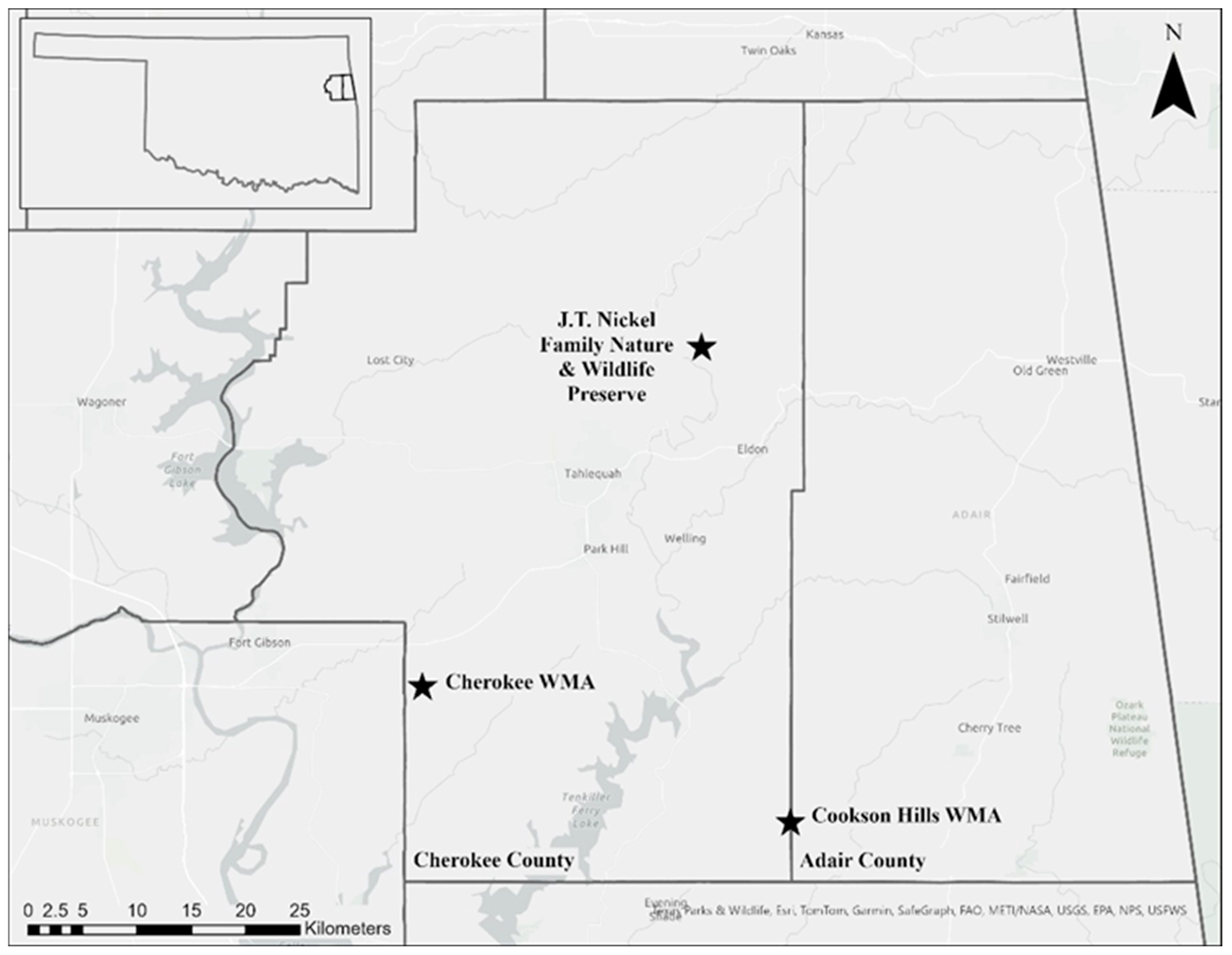 Diversity 16 00515 g001