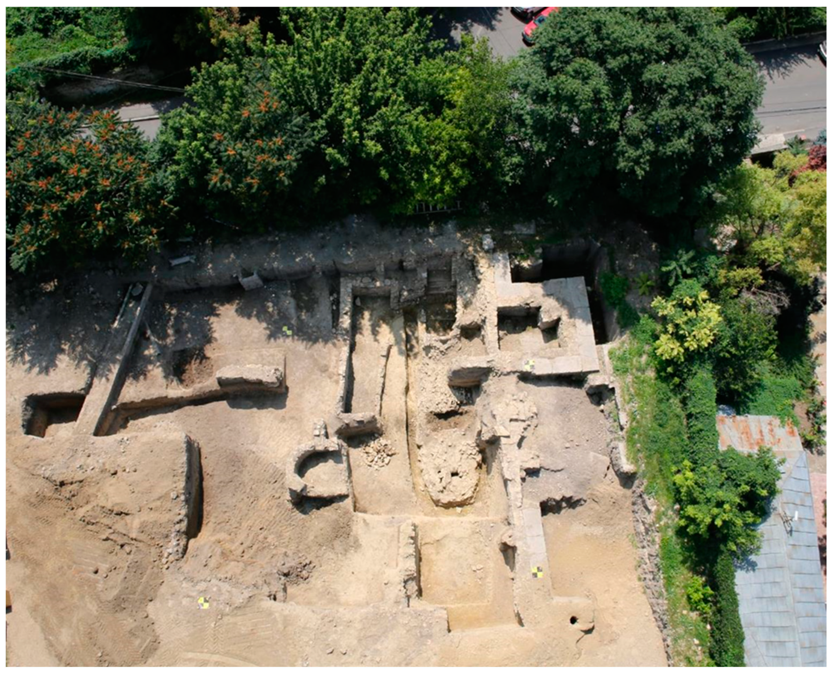 Diversity 16 00520 g001