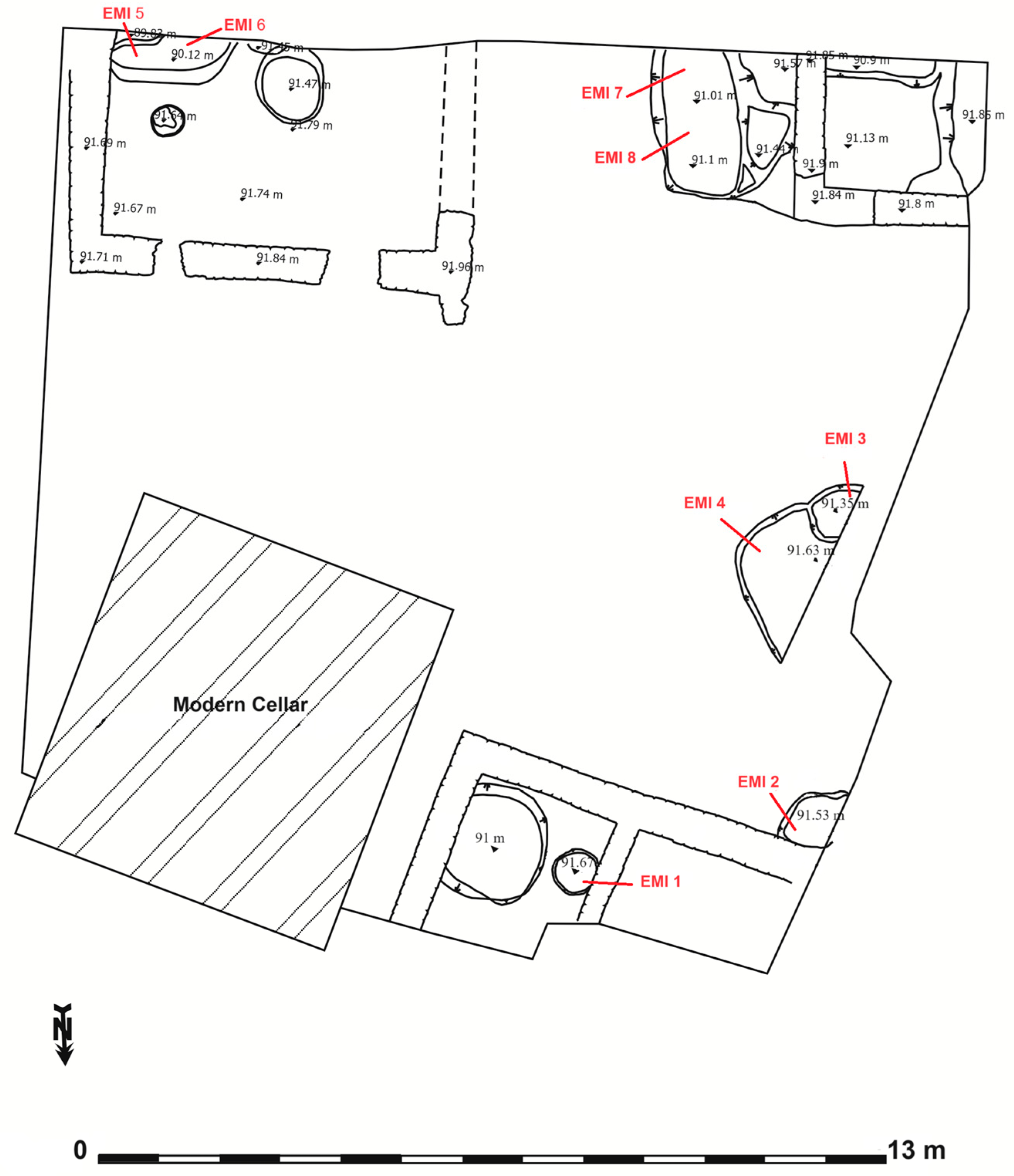 Diversity 16 00520 g003