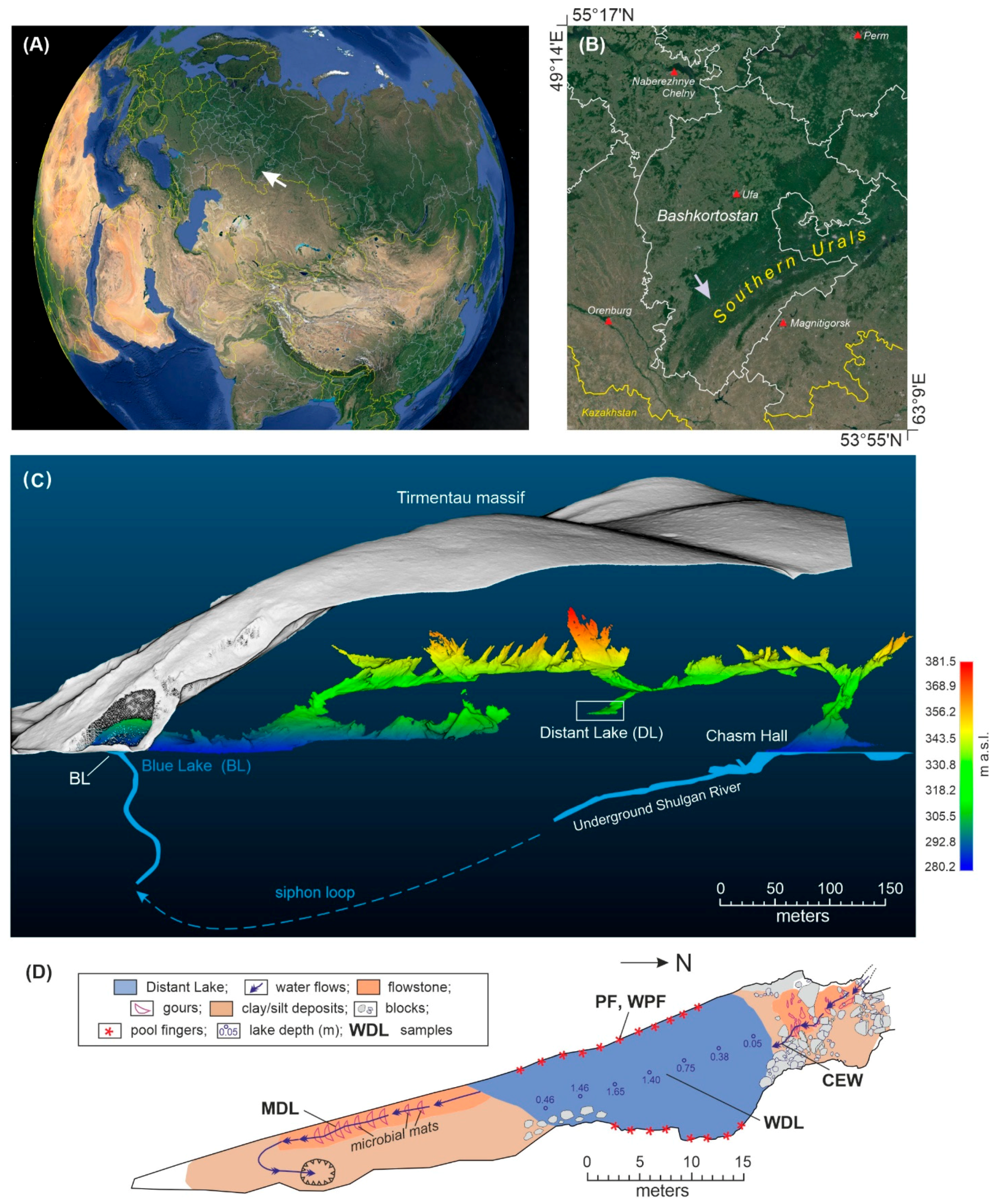 Diversity 16 00526 g001 Diversity 16 00526 g001