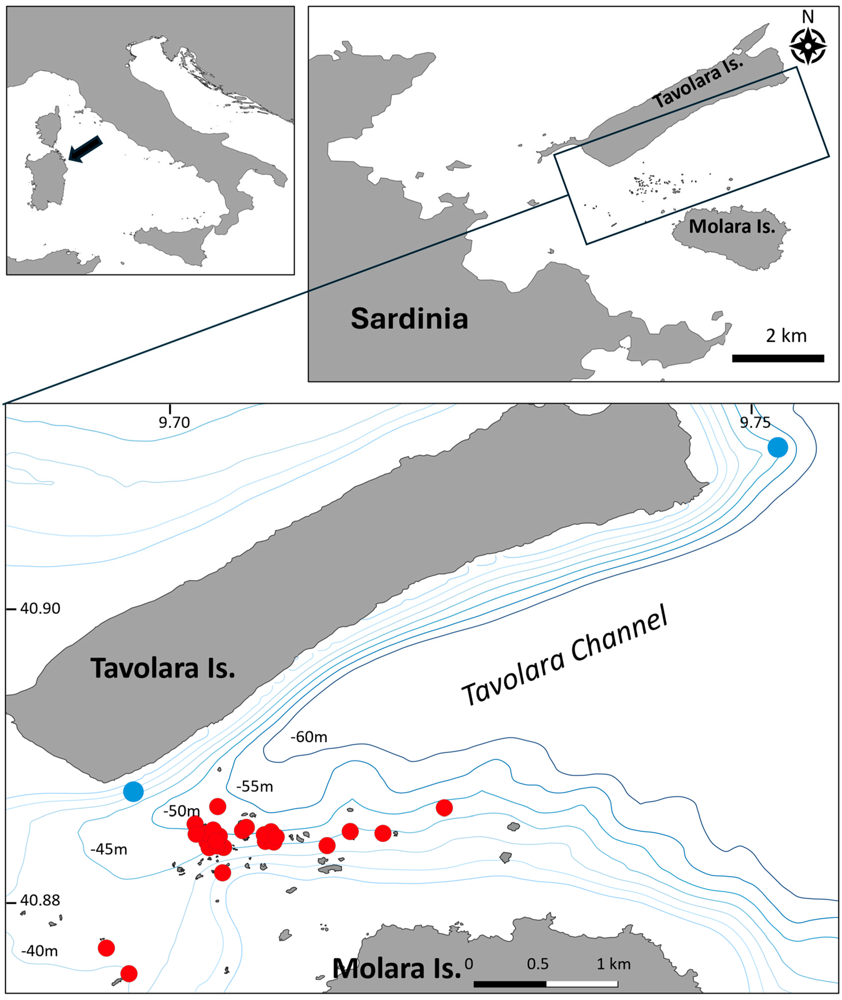 Diversity 16 00528 g001