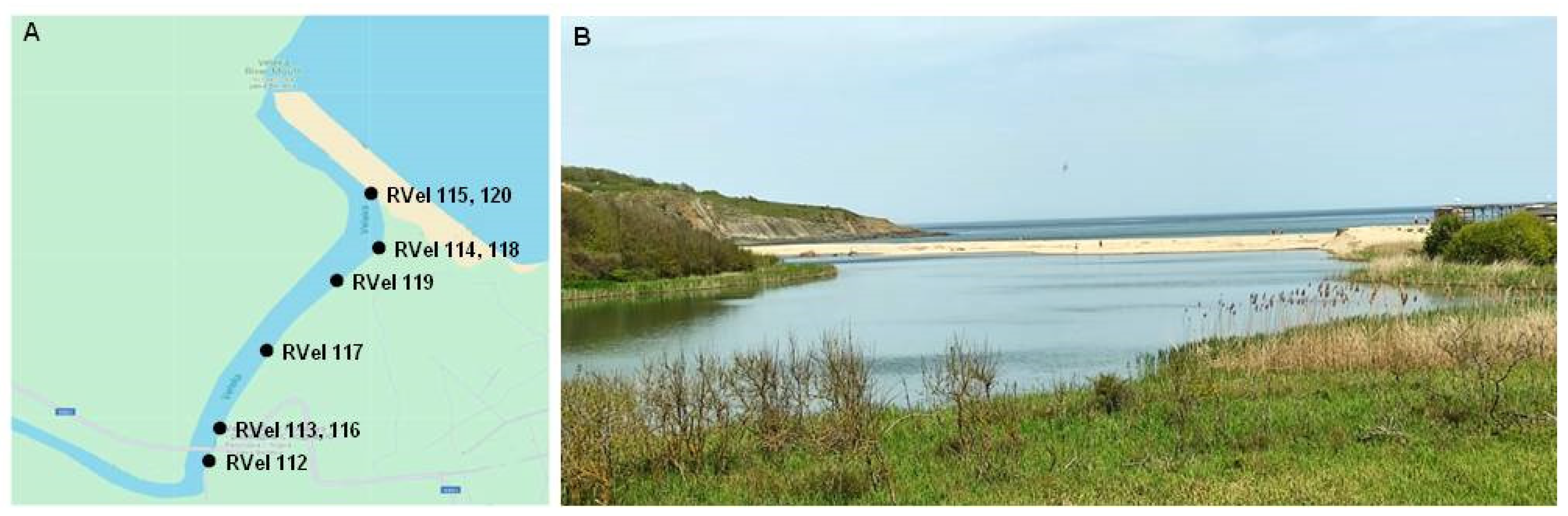 Diversity 16 00530 g001