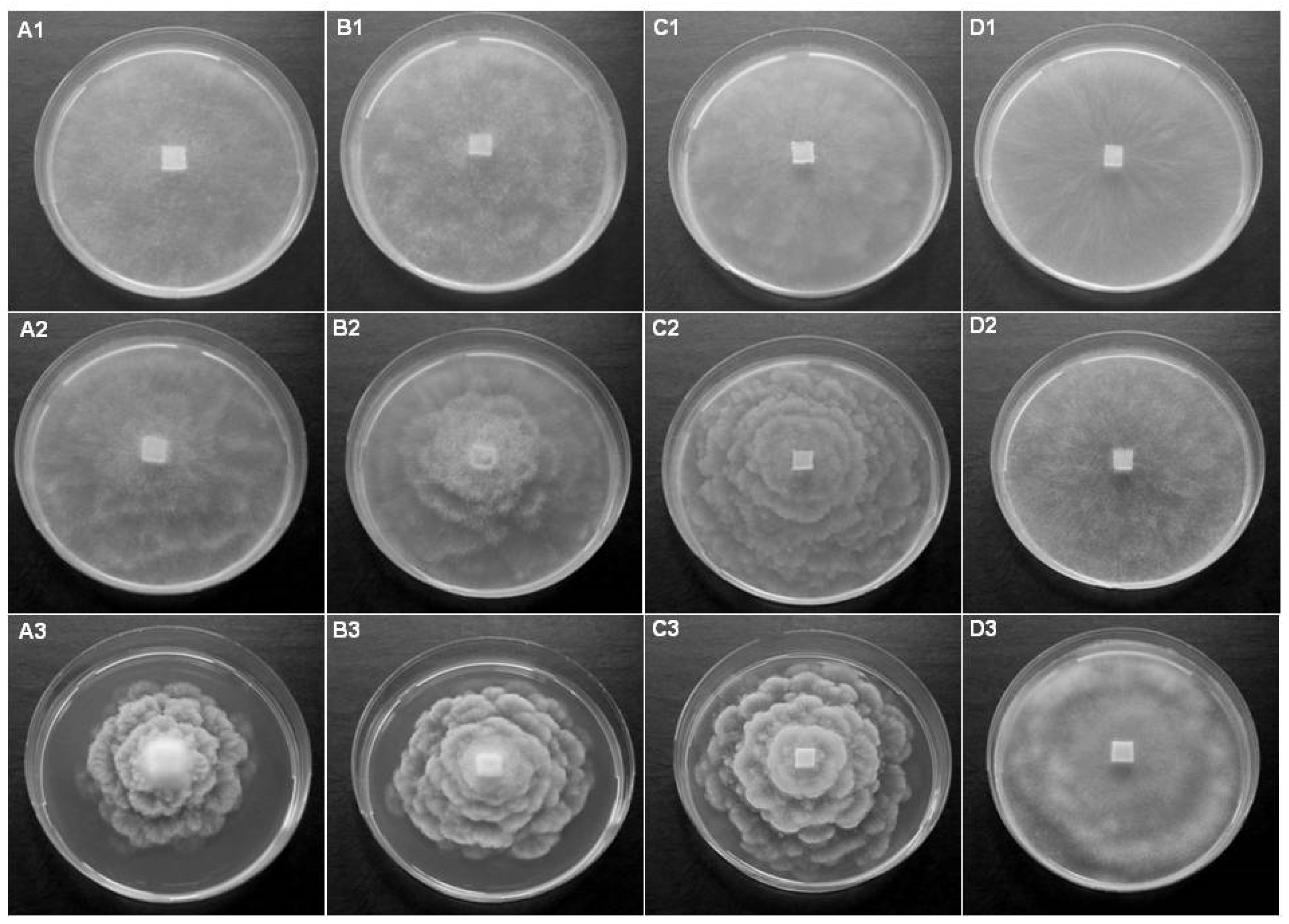 Diversity 16 00530 g003